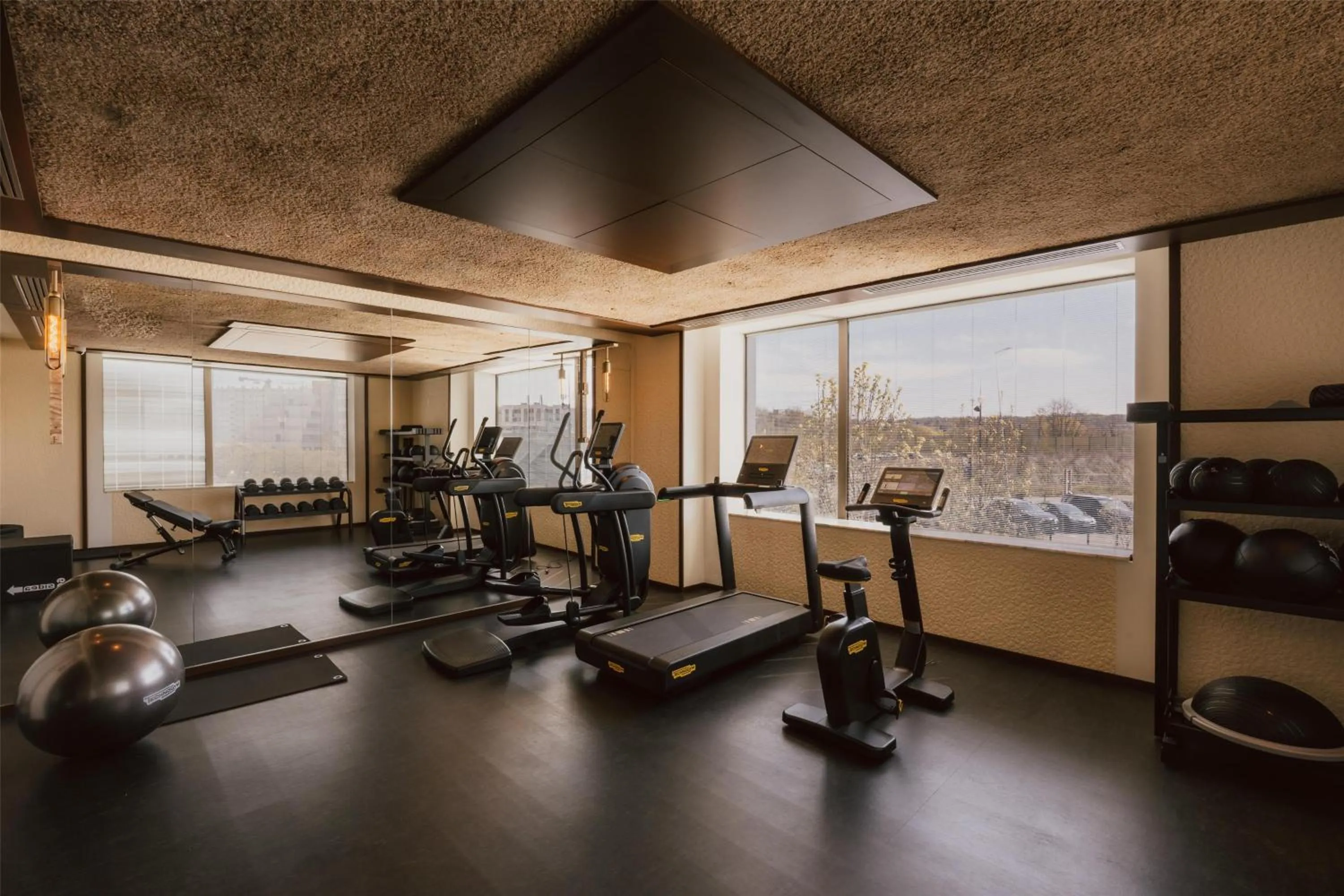 Fitness centre/facilities in Maison Heler Metz, Curio Collection By Hilton