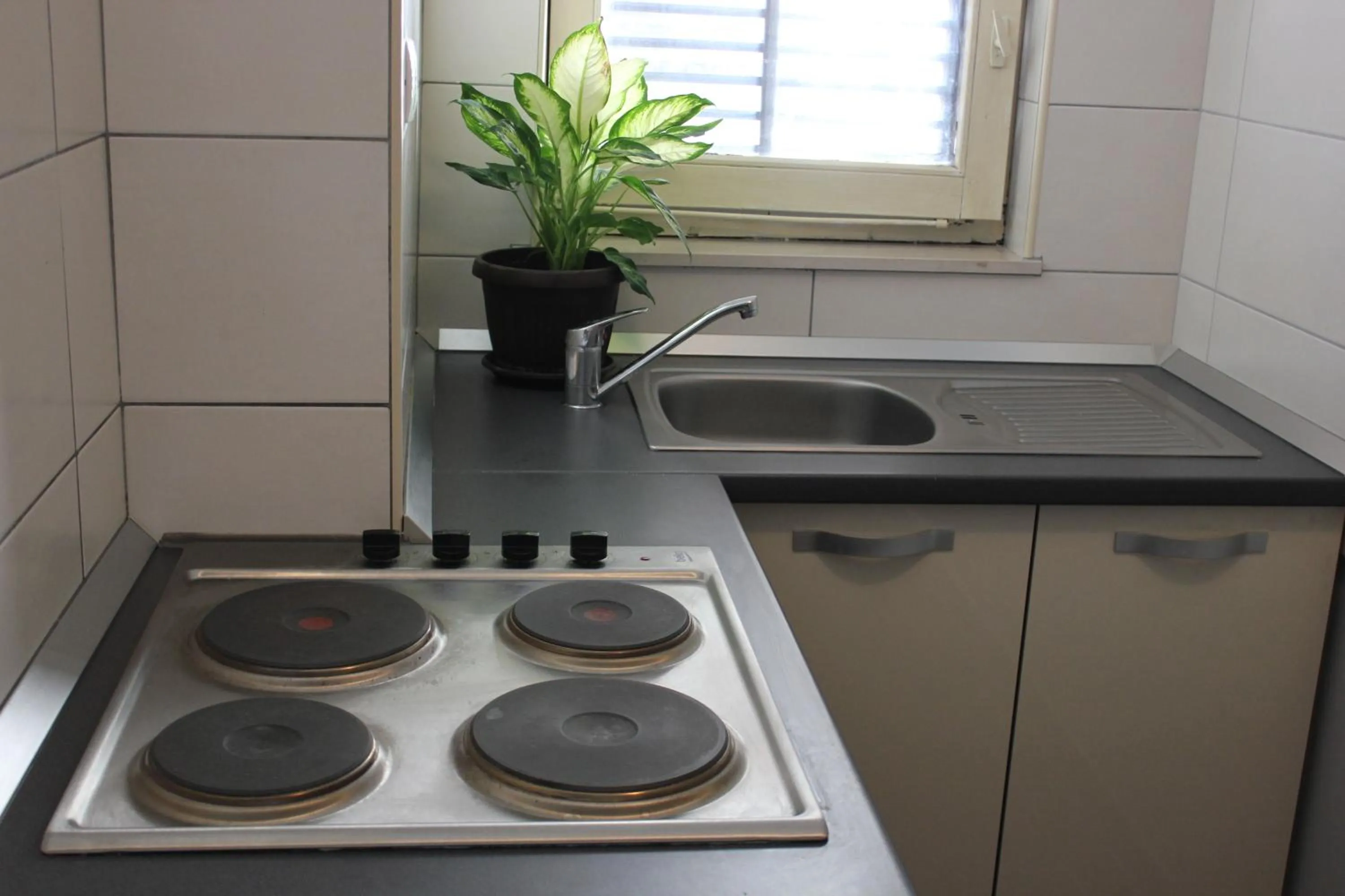 Kitchen or kitchenette in Apartments Kike&Ana