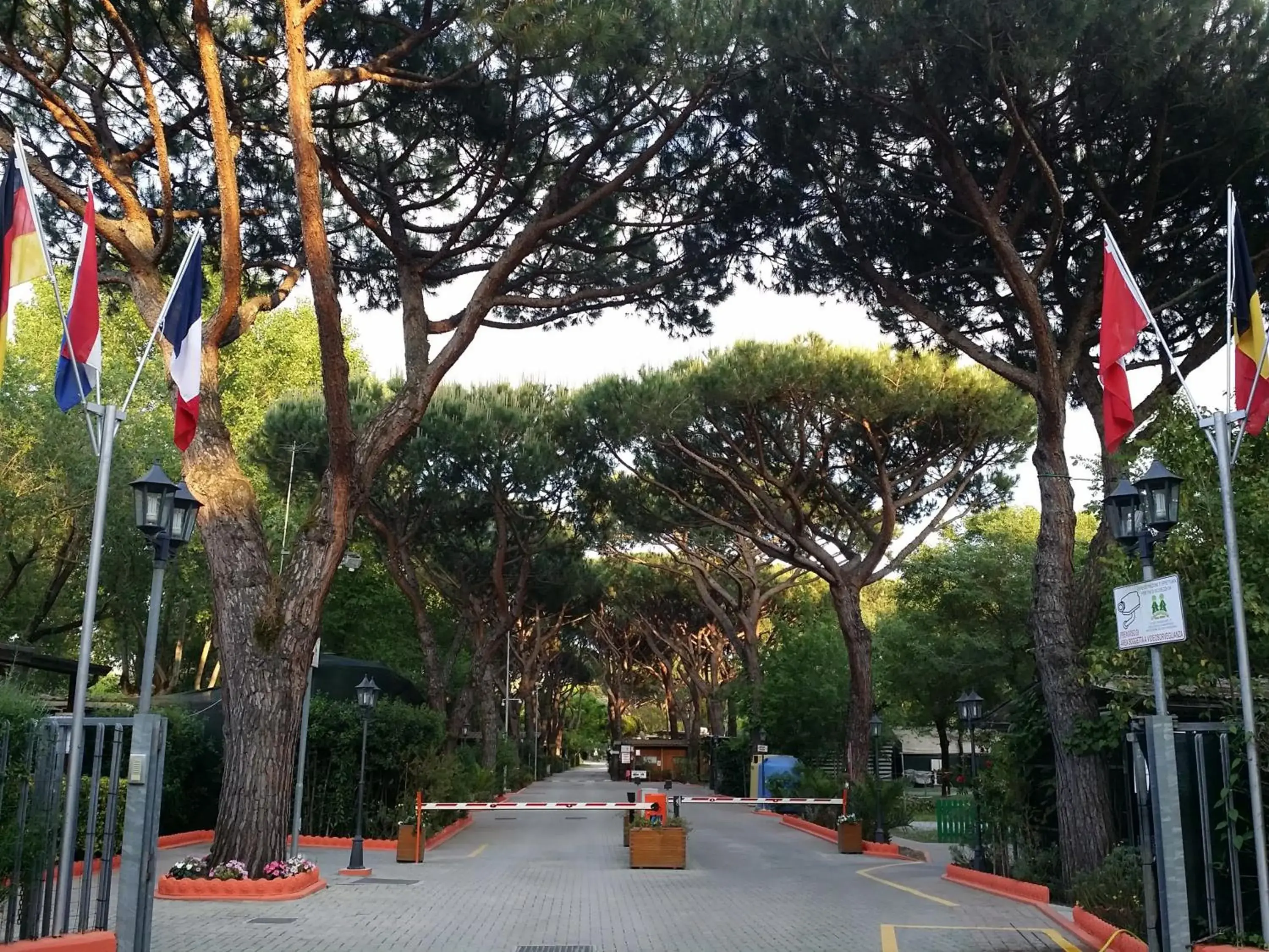 Camping Dal Pino Camping Dal Pino
