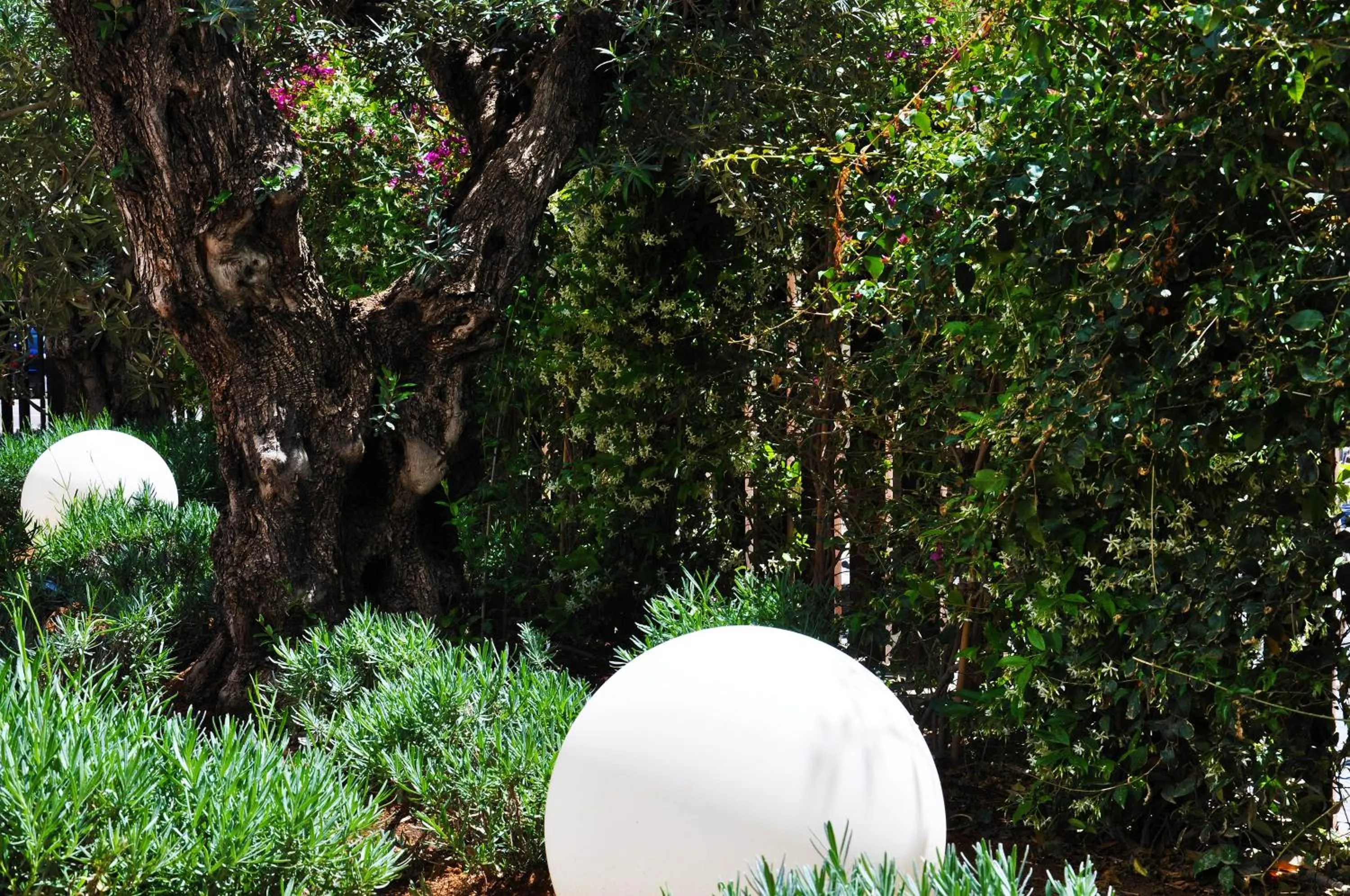 Garden in Apartaments B-Llobet Sun & Confort