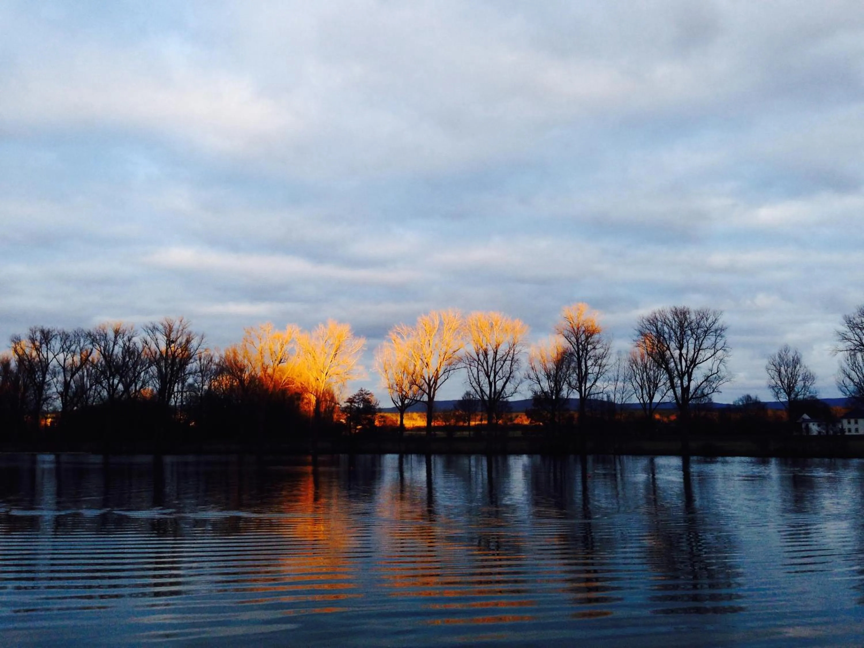 Autumn in Hotel Cafe Lieb