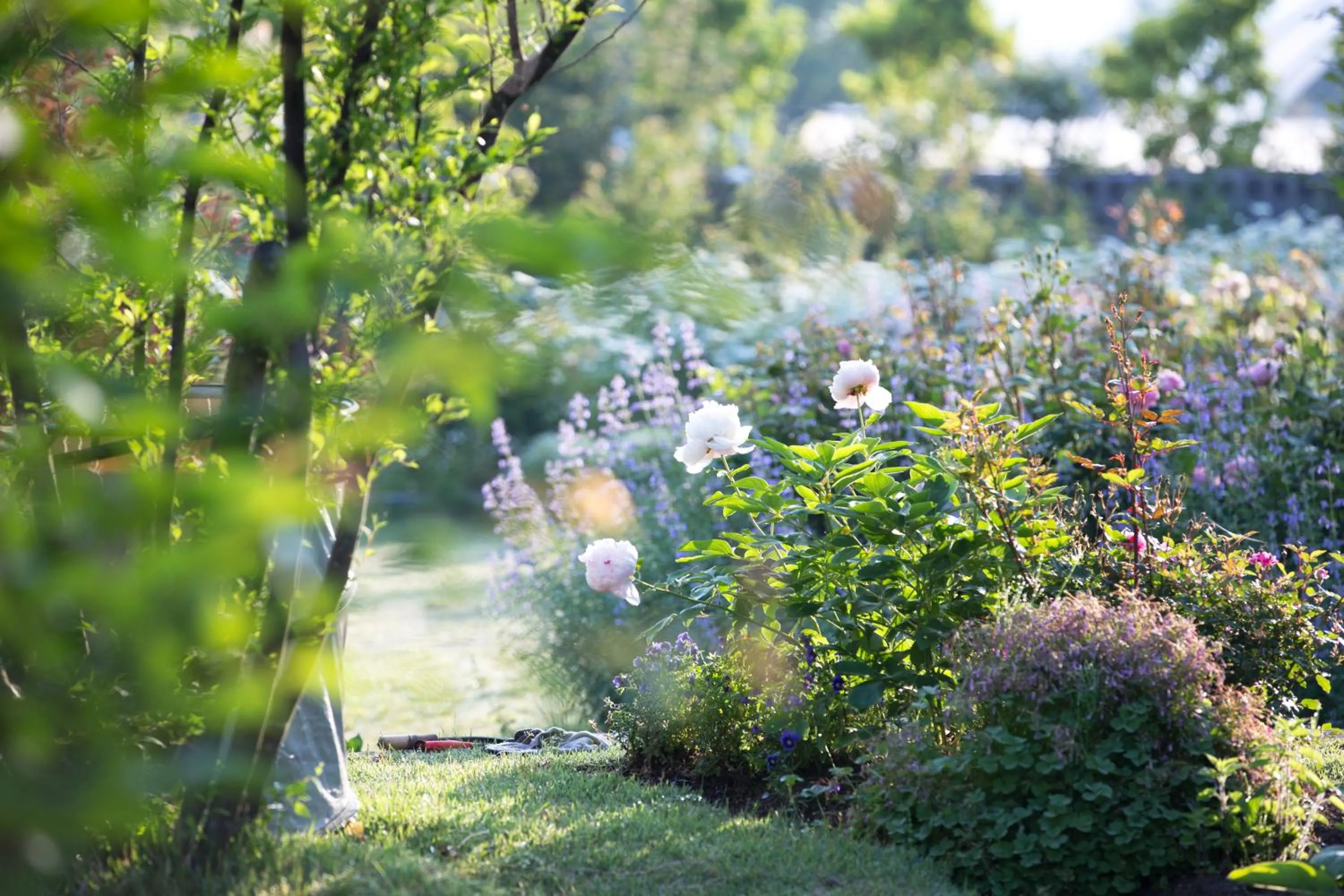 Garden in Yufuin Hotel Mori-no-Terrace