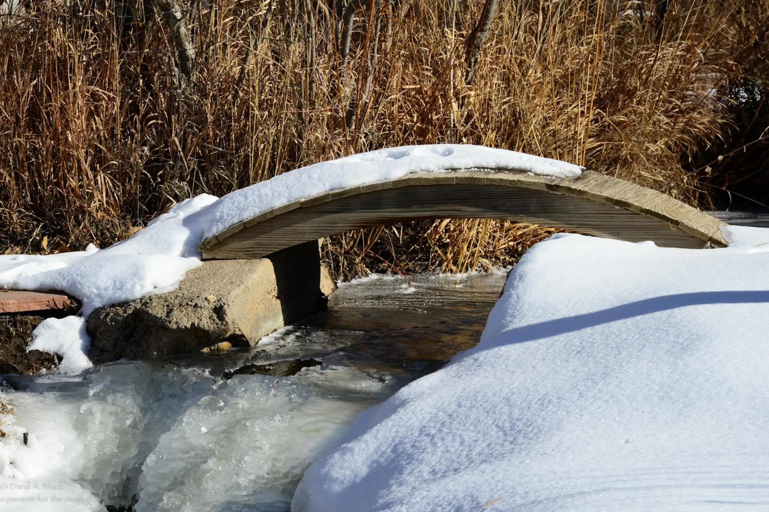 Casa Gallina - An Artisan Inn