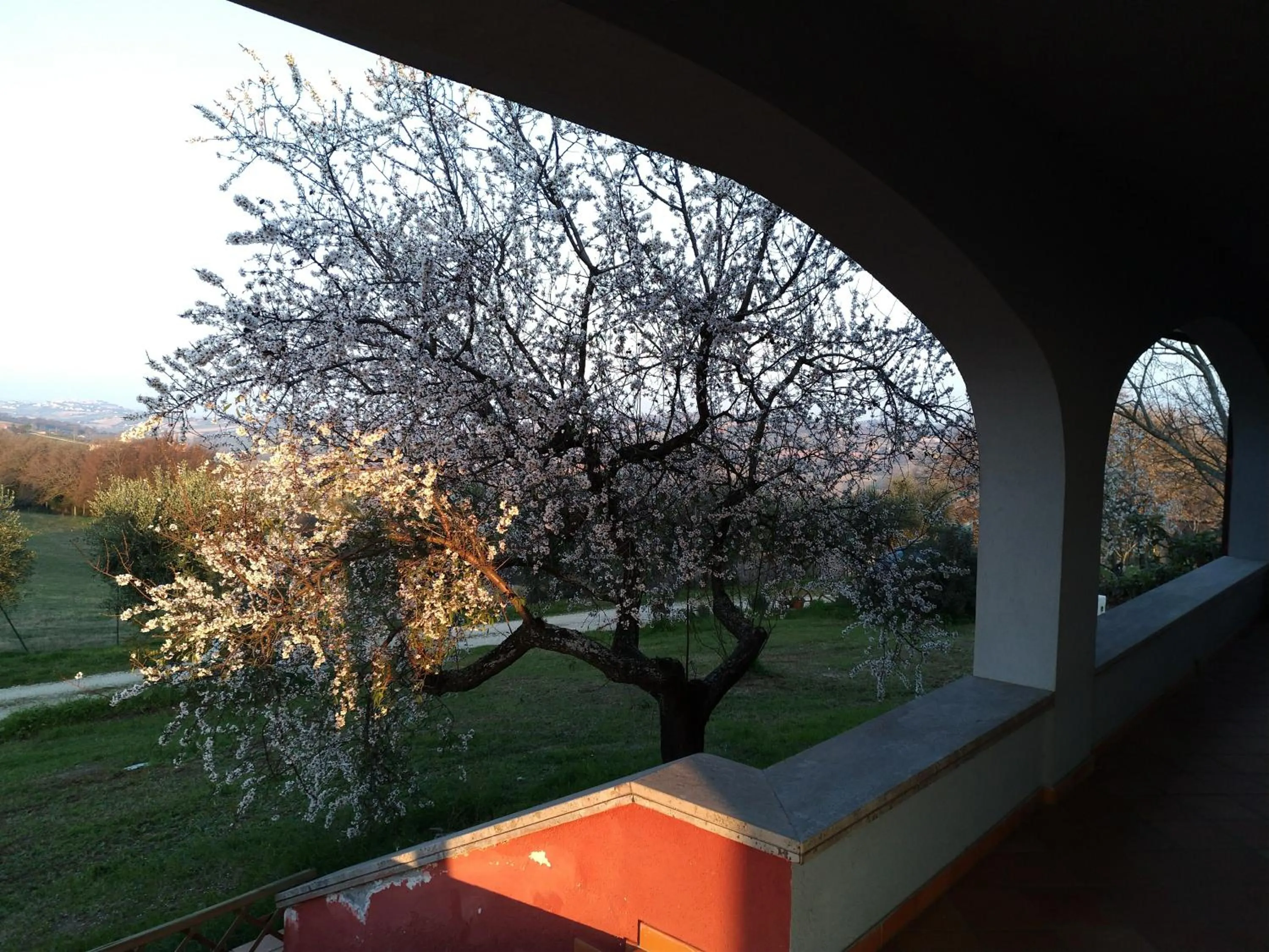Garden view in Belle Marche