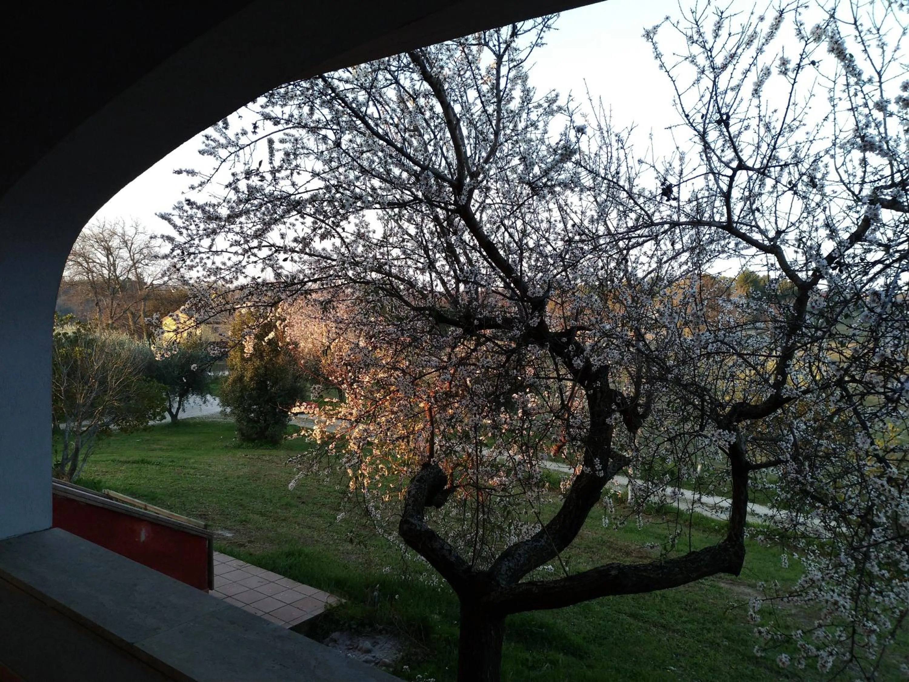 Decorative detail in Belle Marche