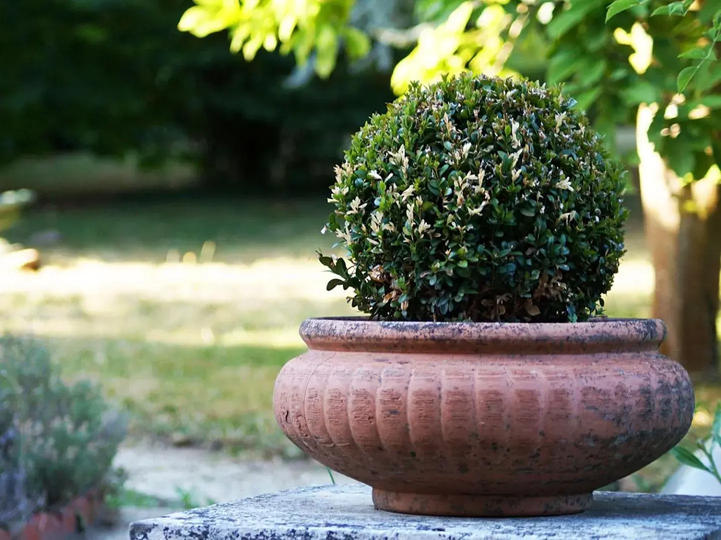 Property building in La Salamandre Property building in La Salamandre