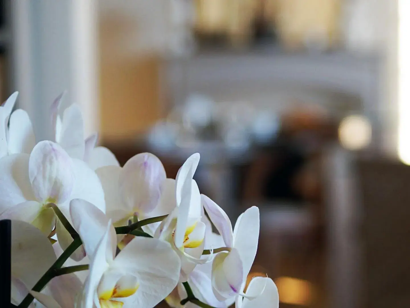 Other, Bed in La Salamandre Other, Bed in La Salamandre