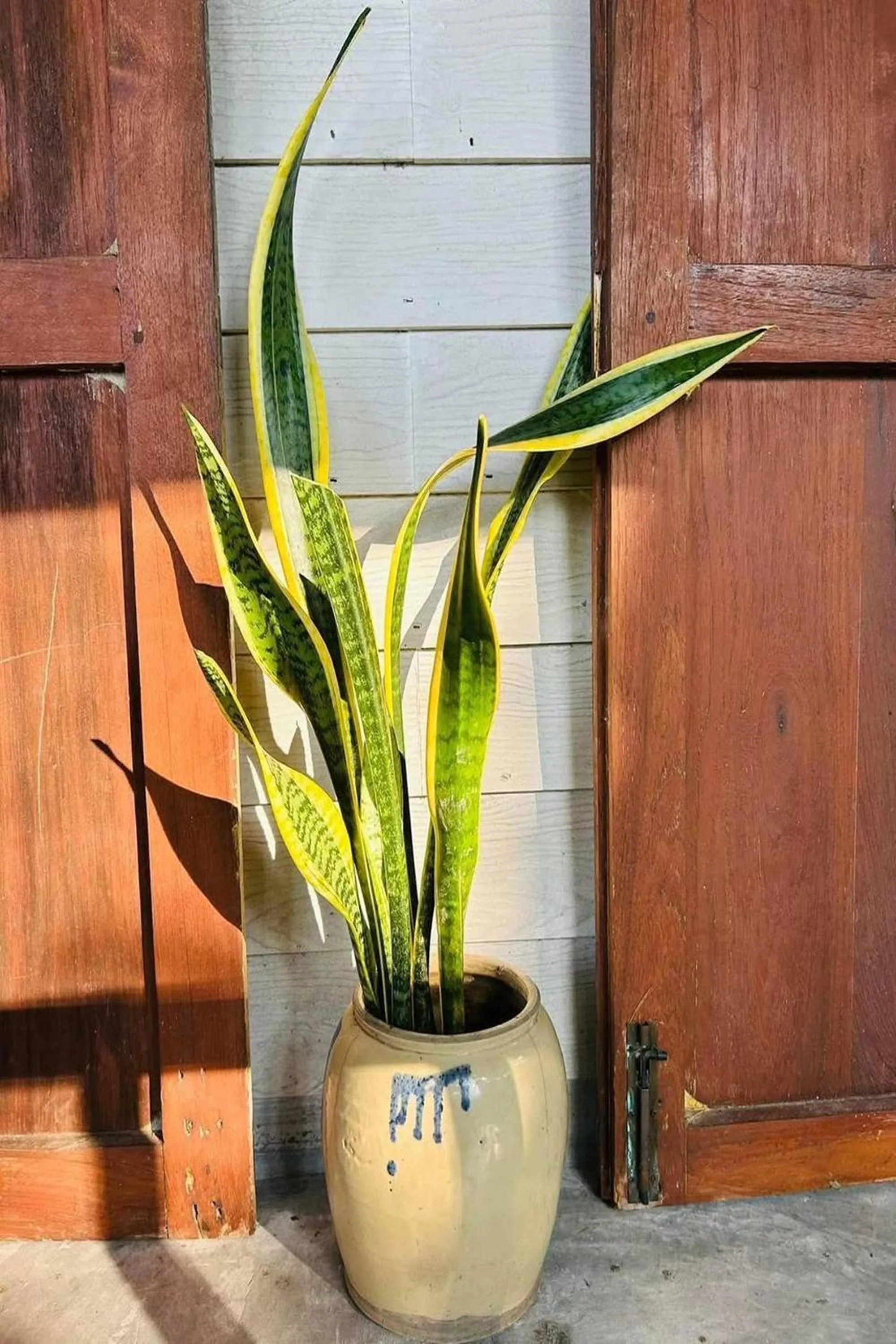 Day in Baan Nai Bang