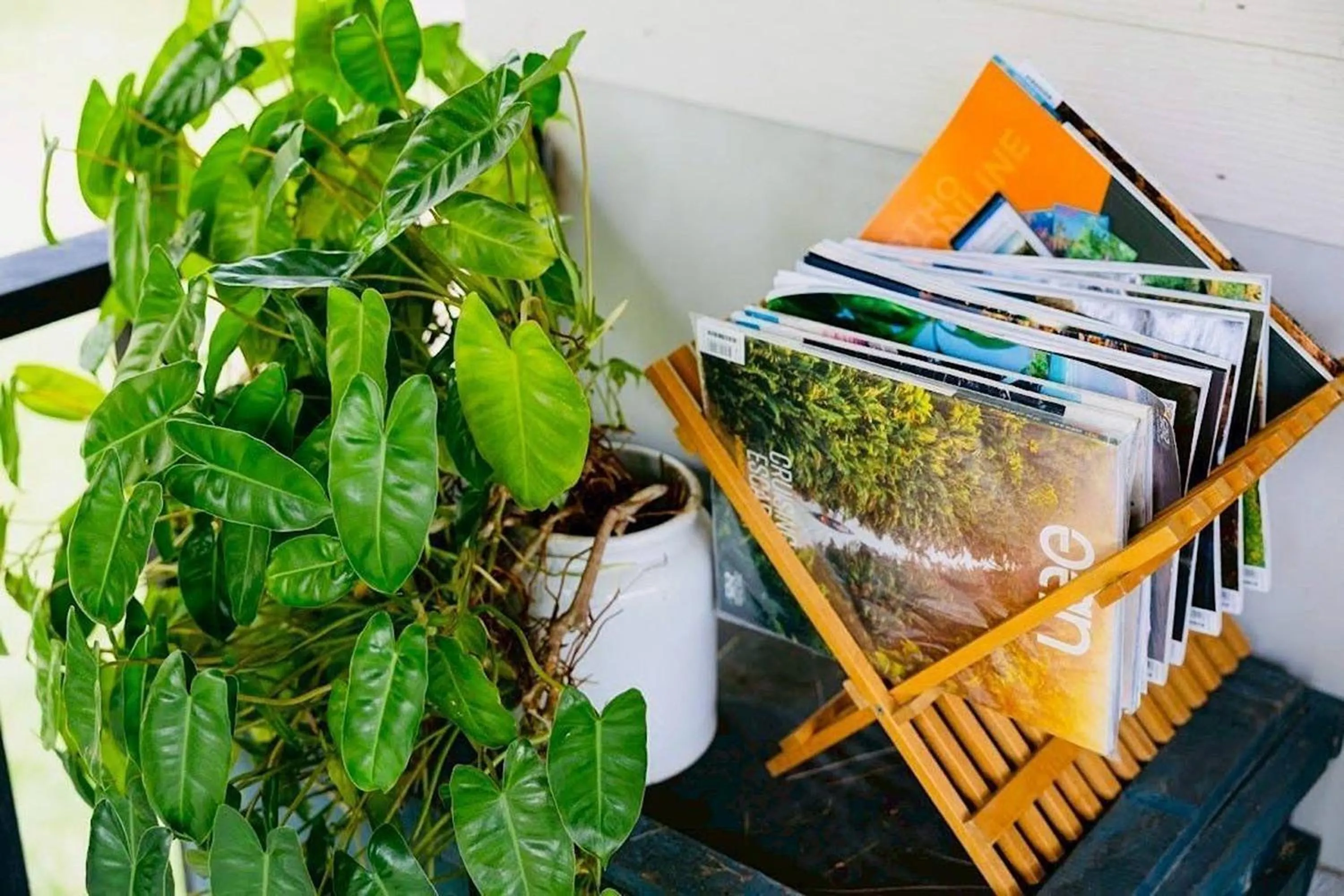 Garden in Baan Nai Bang
