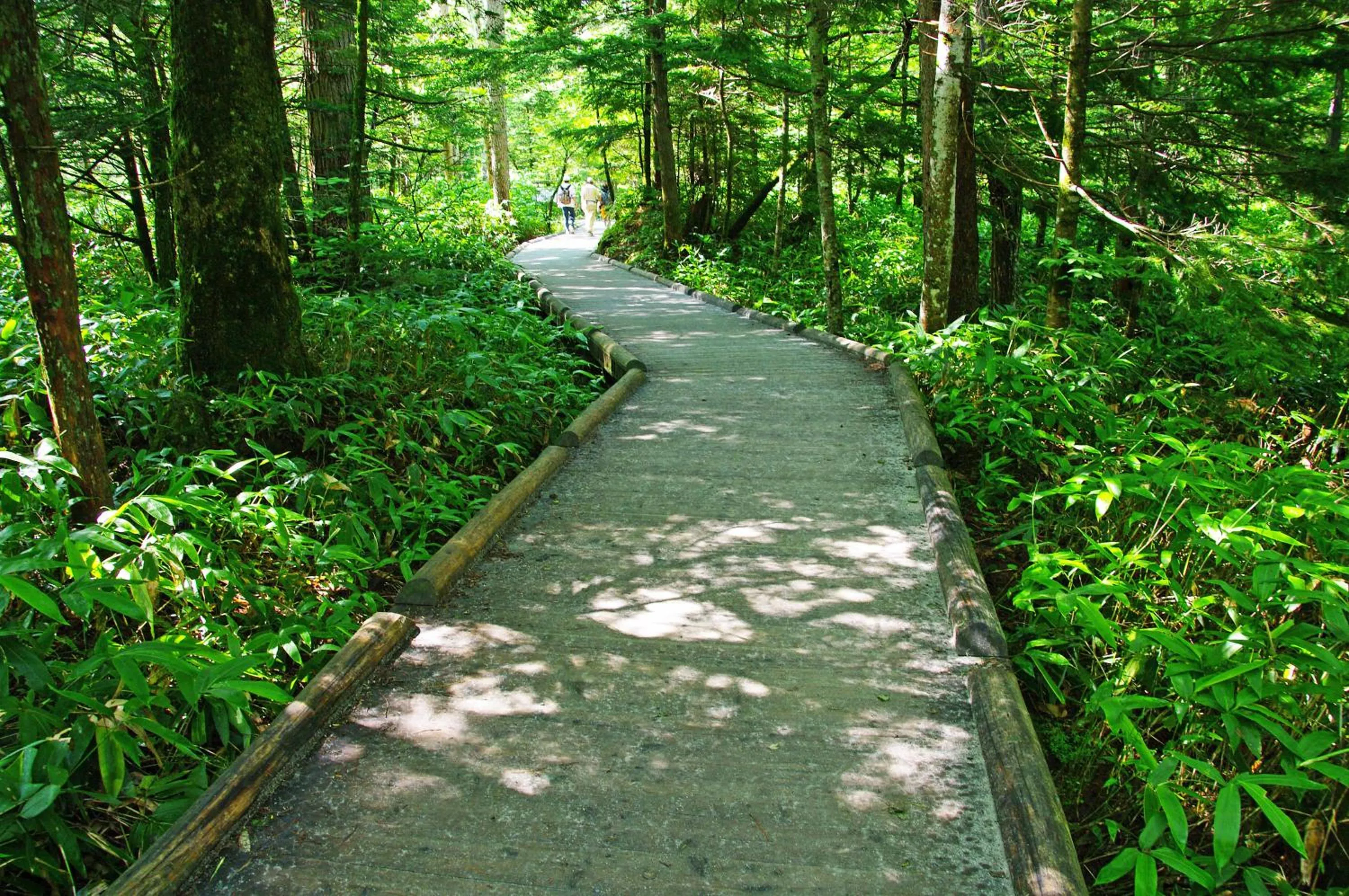 Nearby landmark in Kamikochi Hotel