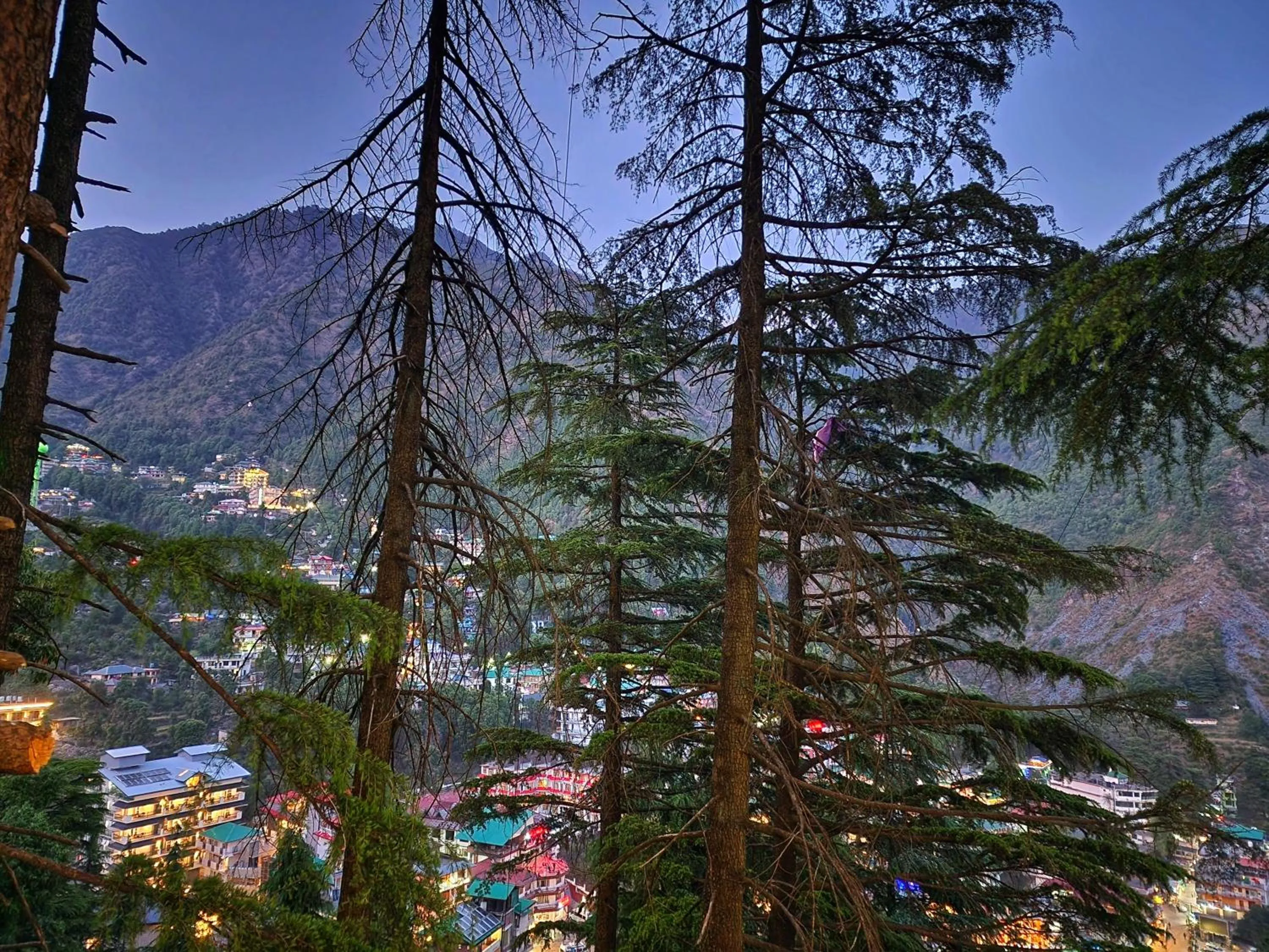 The Cedar Vatika Hotel and Restaurant