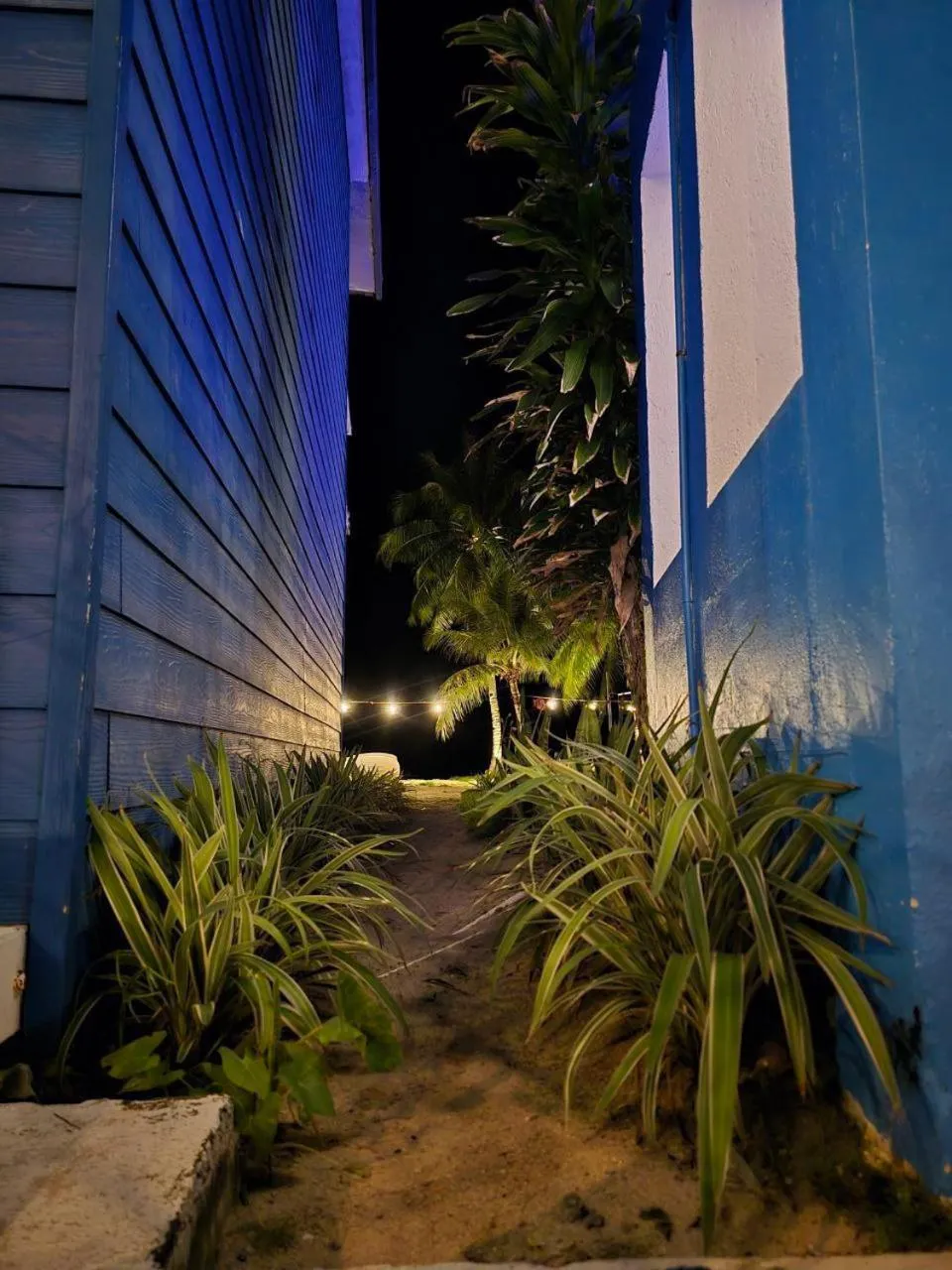 Property building in Apsaras Tribe Siargao