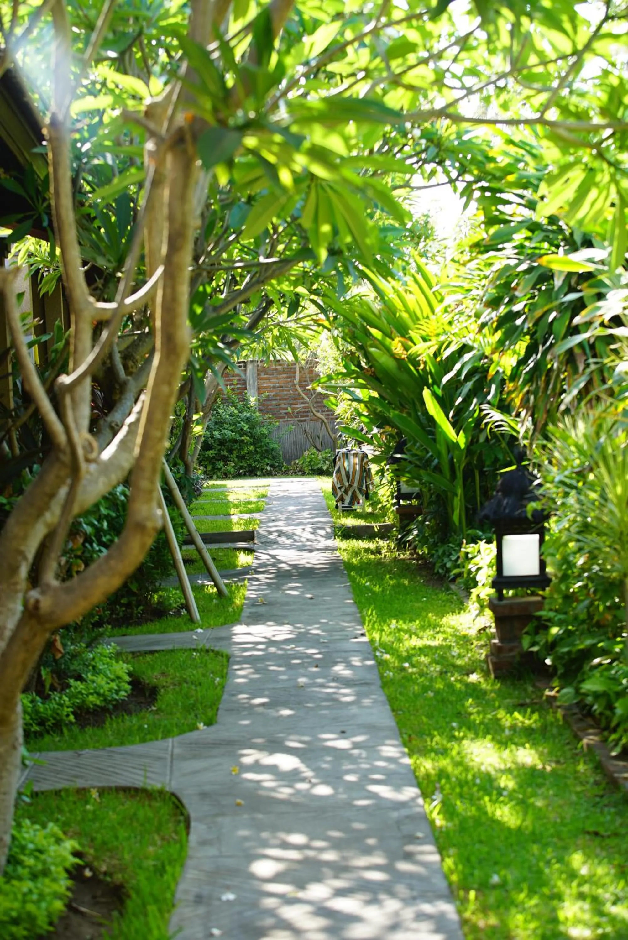 Garden in Oma In Pemuteran Bali