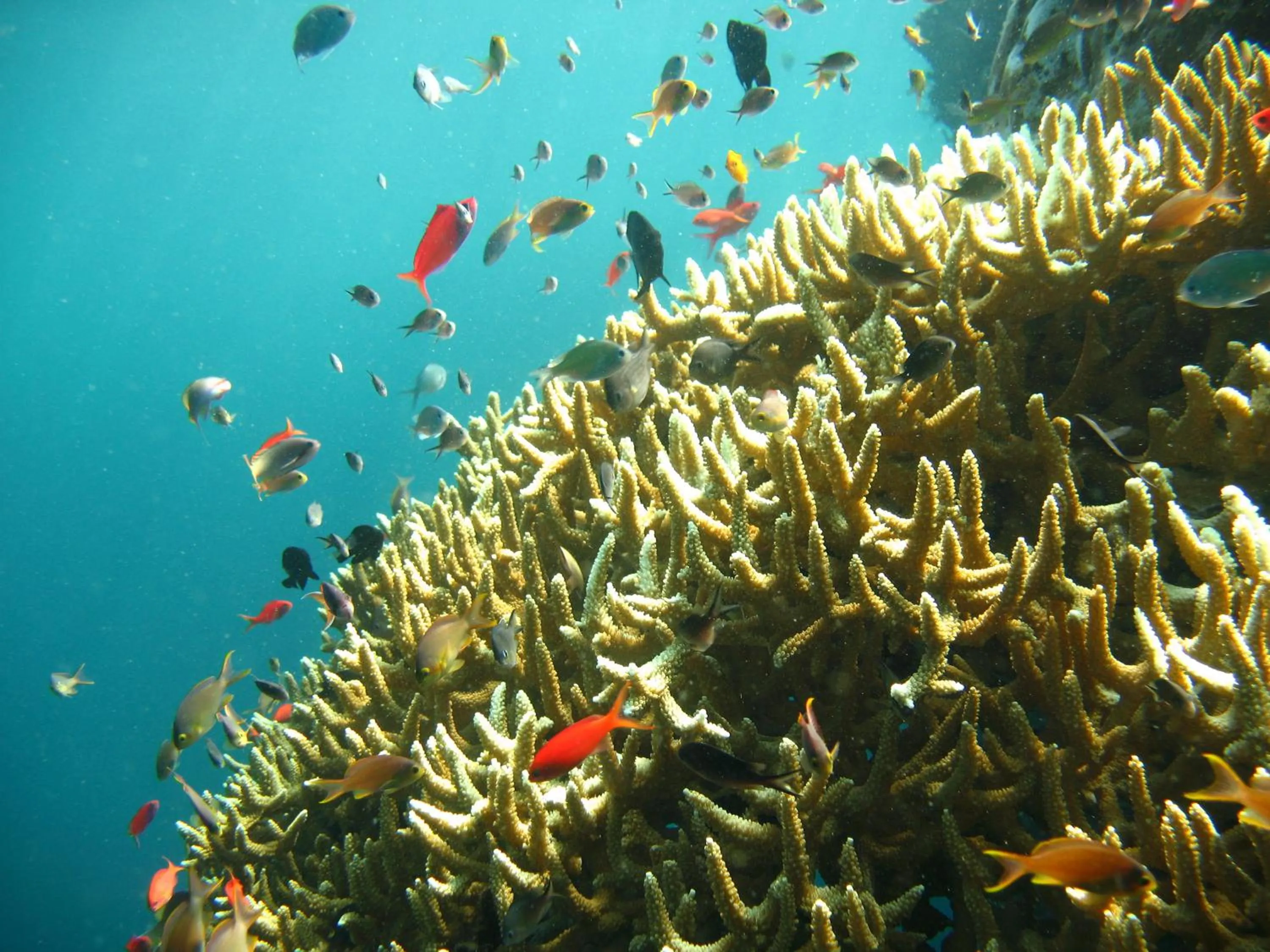 Off site in Oma In Pemuteran Bali