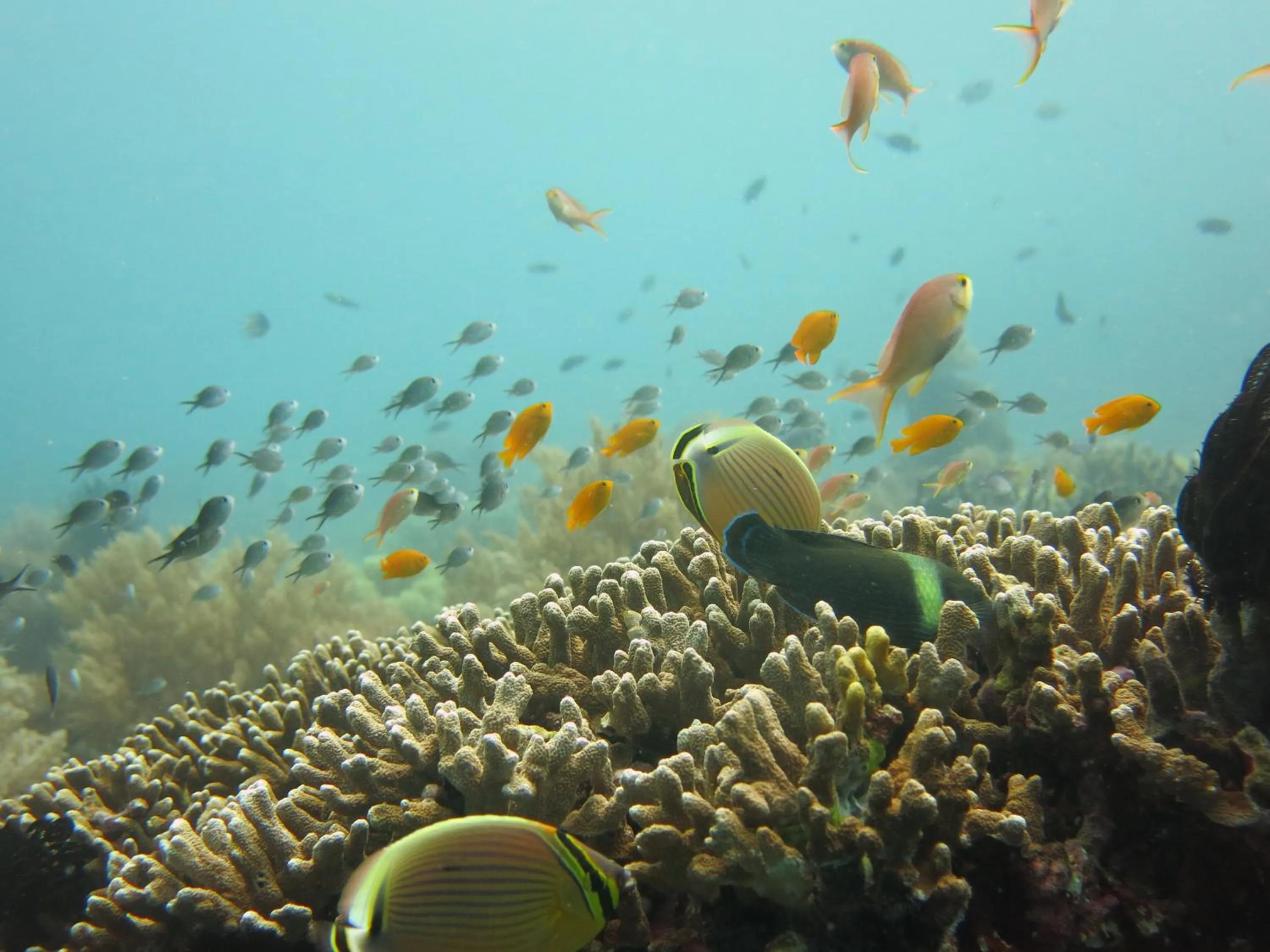 Off site in Oma In Pemuteran Bali