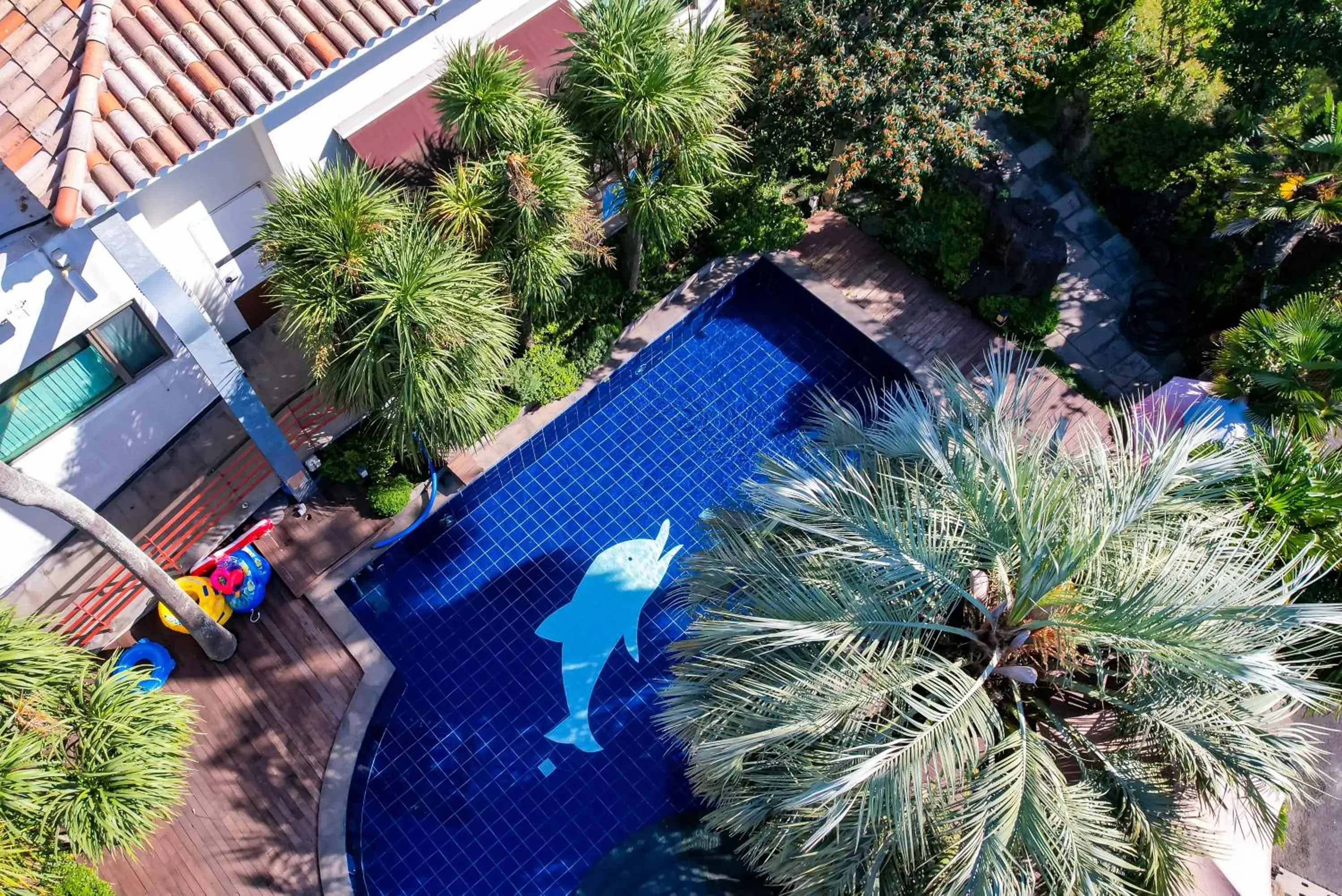 Swimming pool in Harmony Resort Swimming pool in Harmony Resort