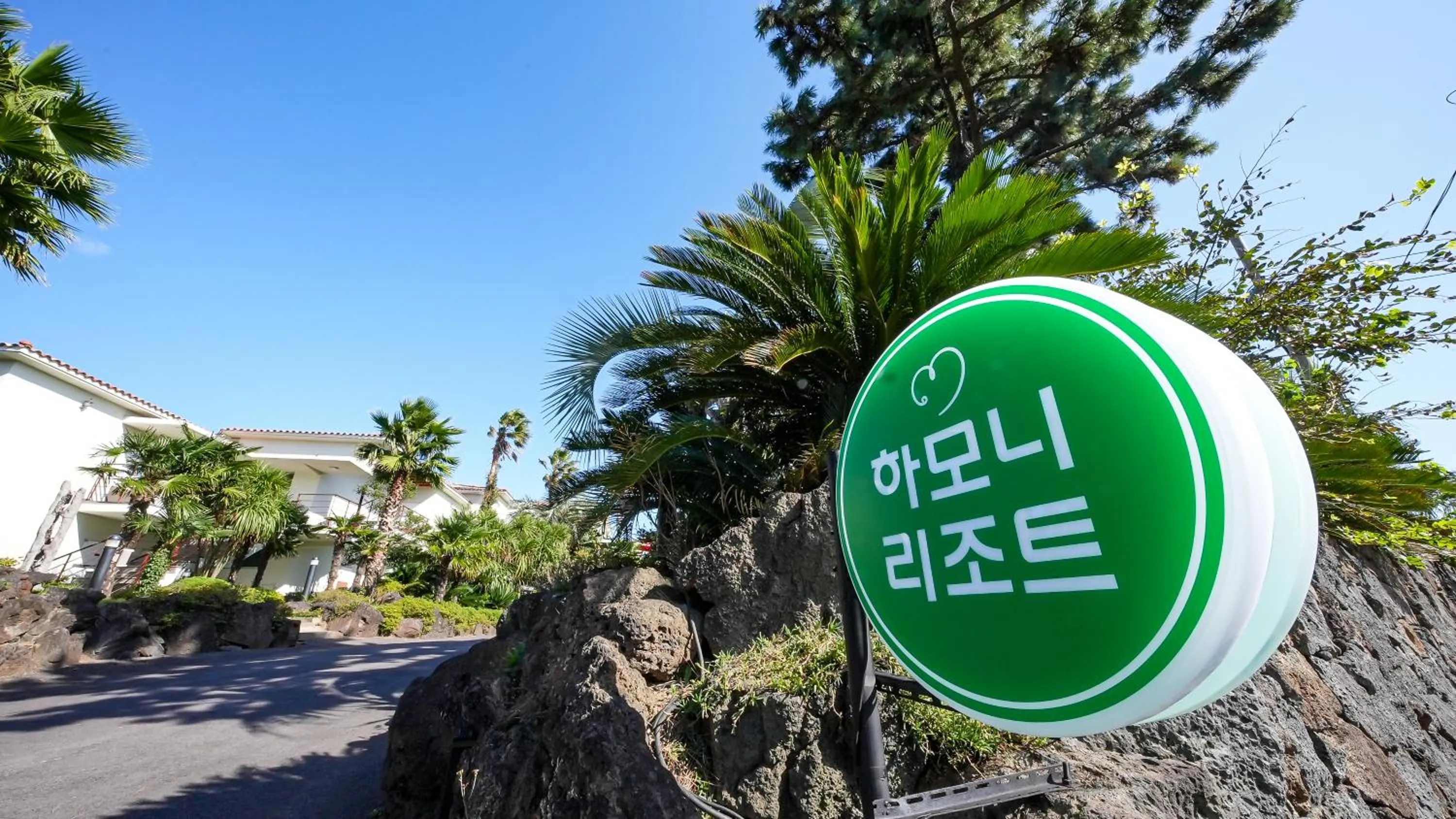 View (from property/room) in Harmony Resort