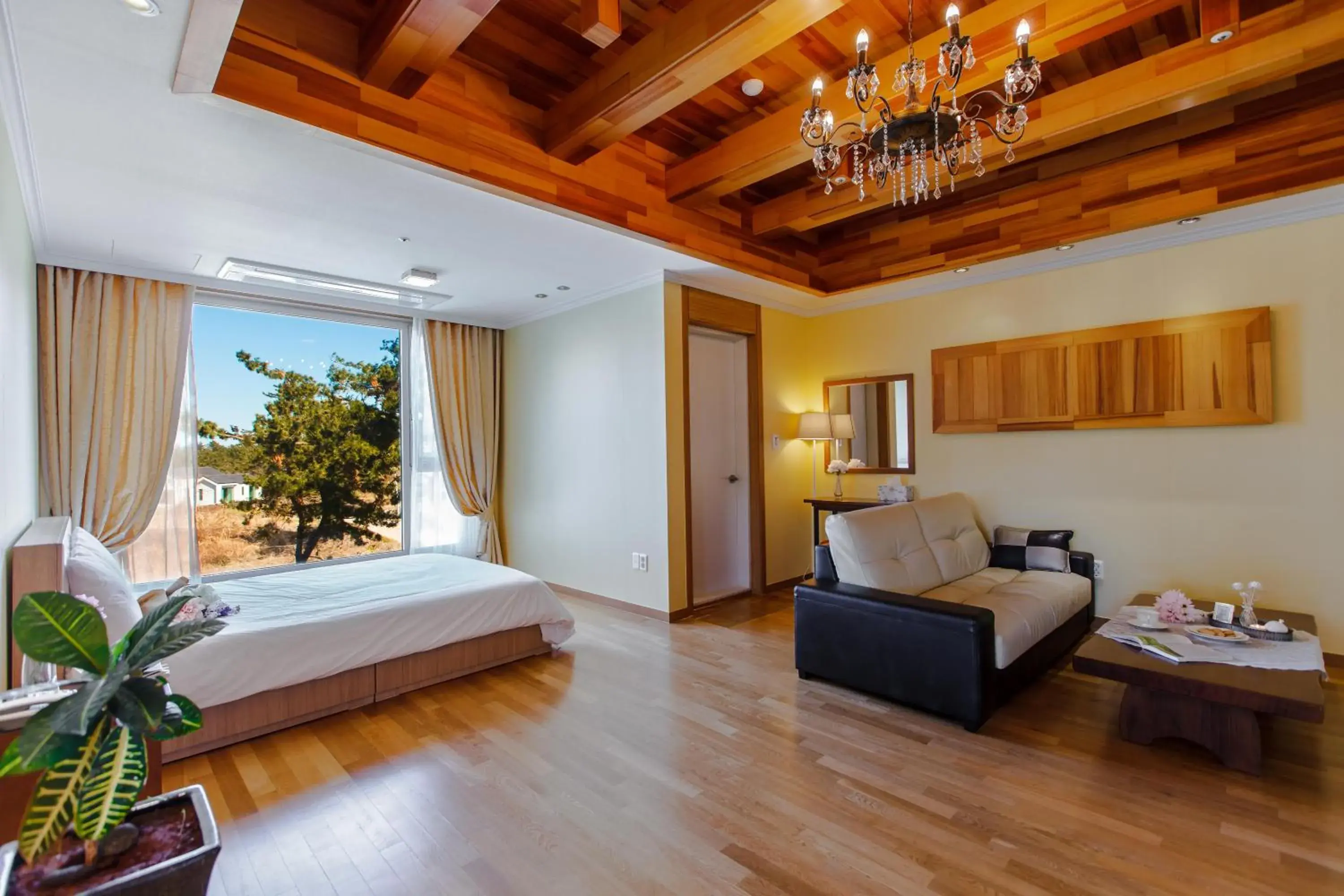 Area and facilities, Bed in Harmony Resort Area and facilities, Bed in Harmony Resort