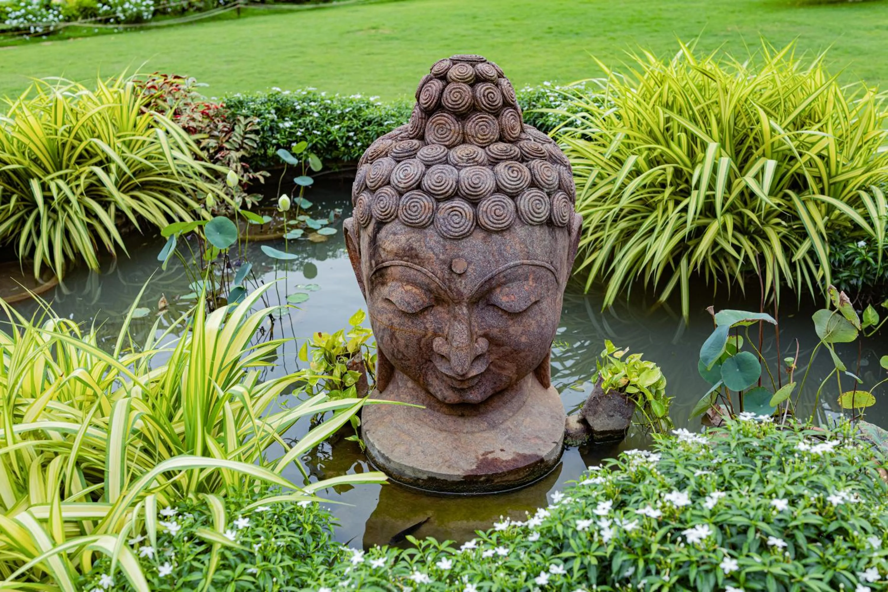 Garden view in Hotel Seagull