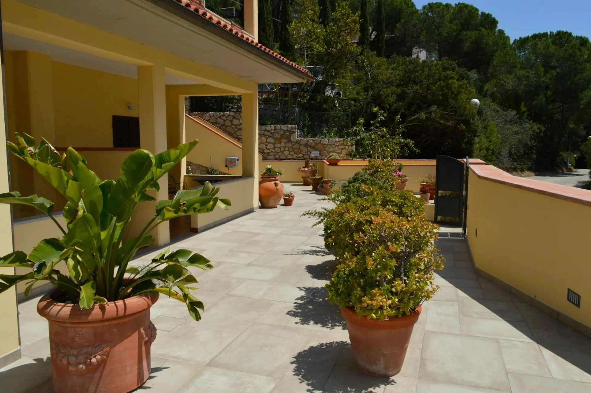 Garden in Hotel Anna