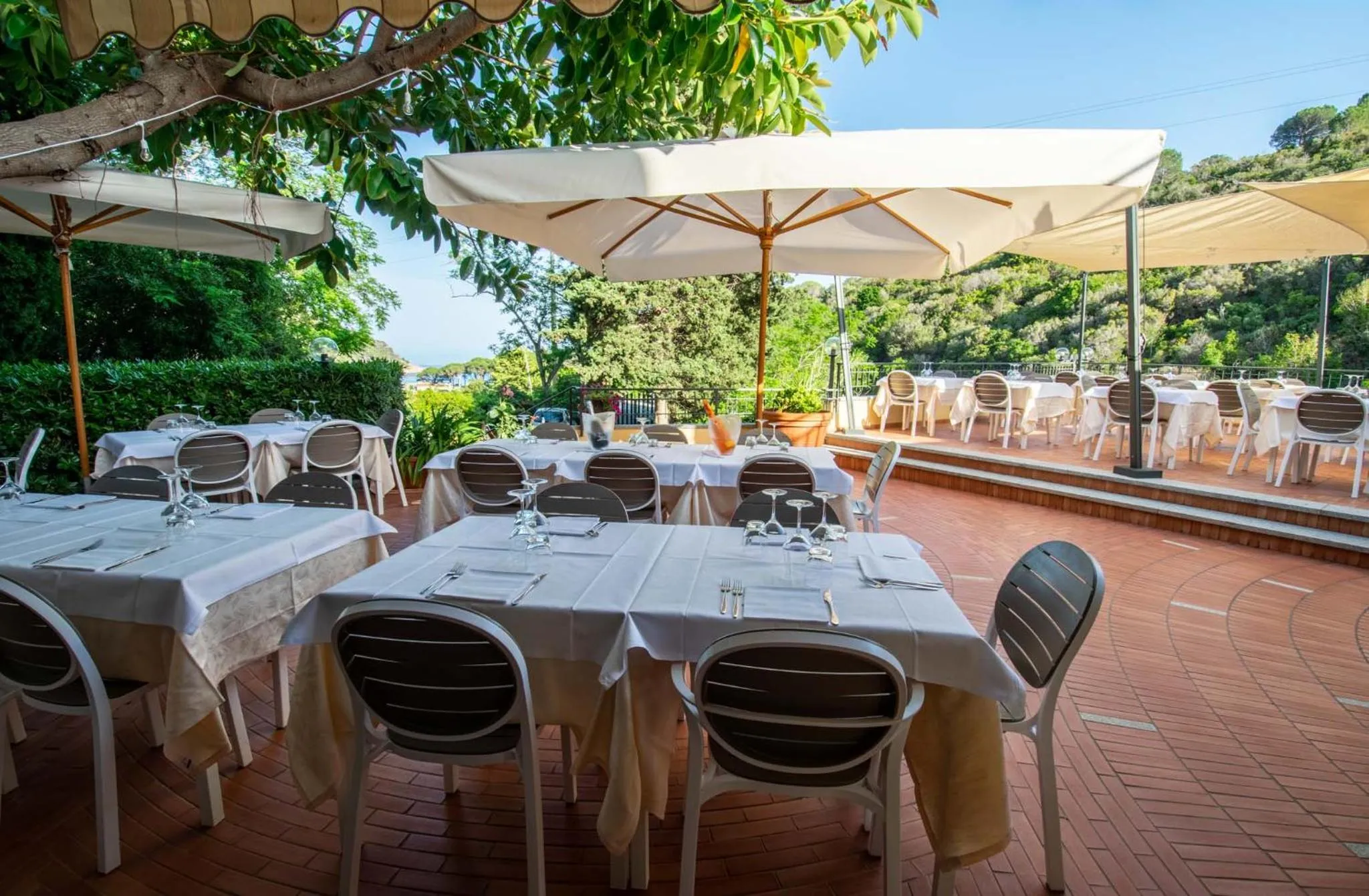 Restaurant/places to eat in Hotel Anna