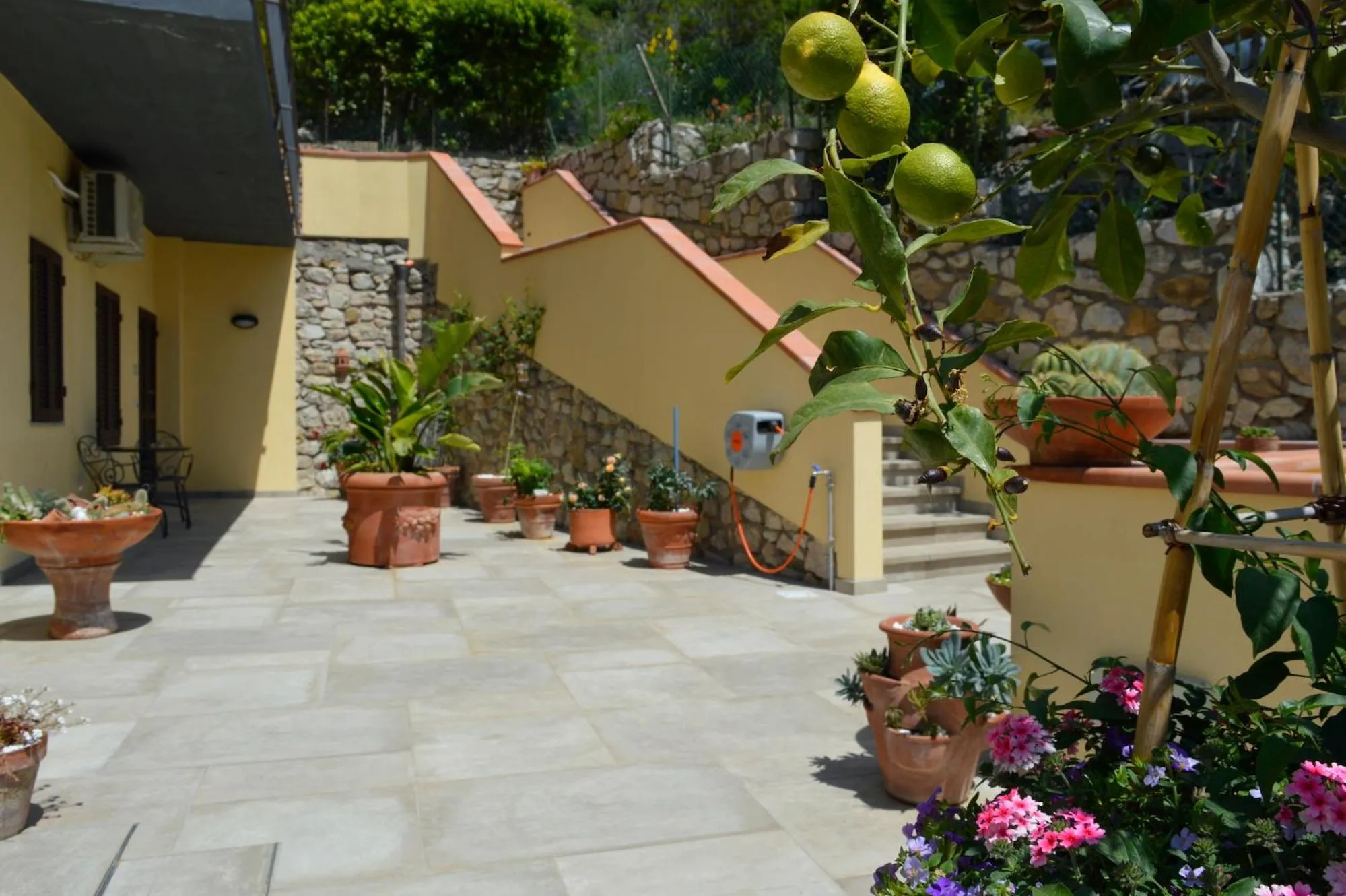 Garden in Hotel Anna