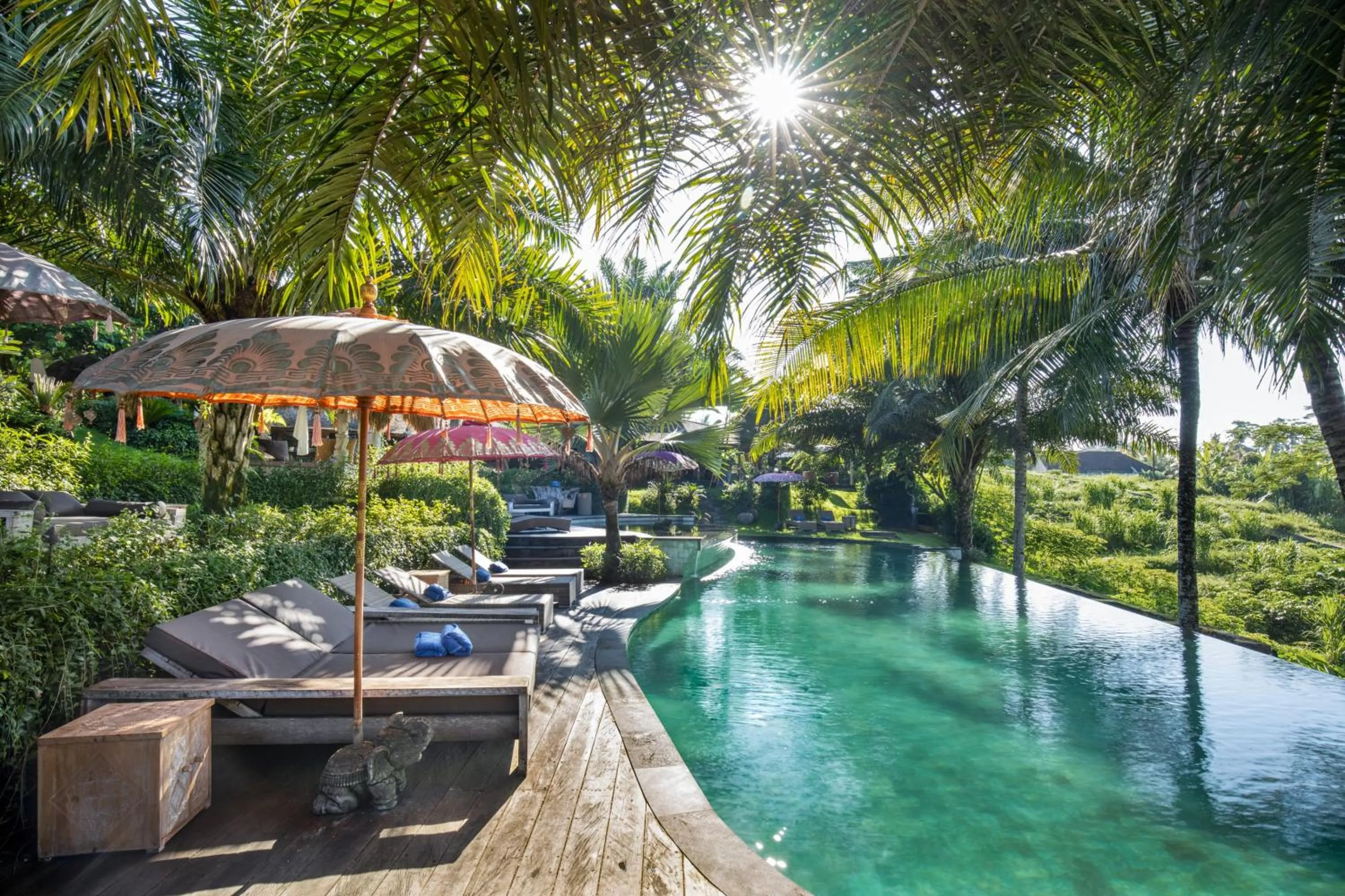 Swimming pool in Blue Karma Dijiwa Ubud