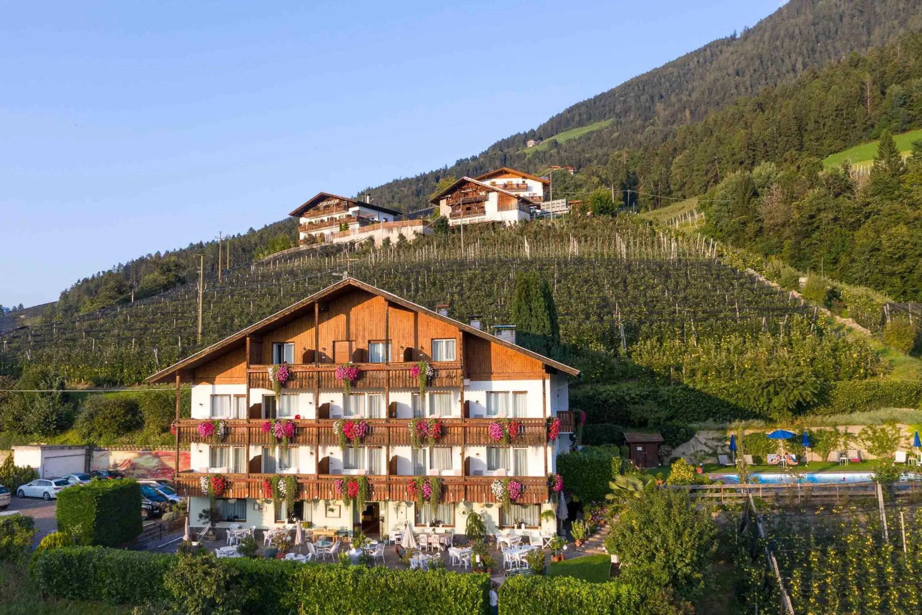 Panorama Hotel St Georgen Panorama Hotel St Georgen