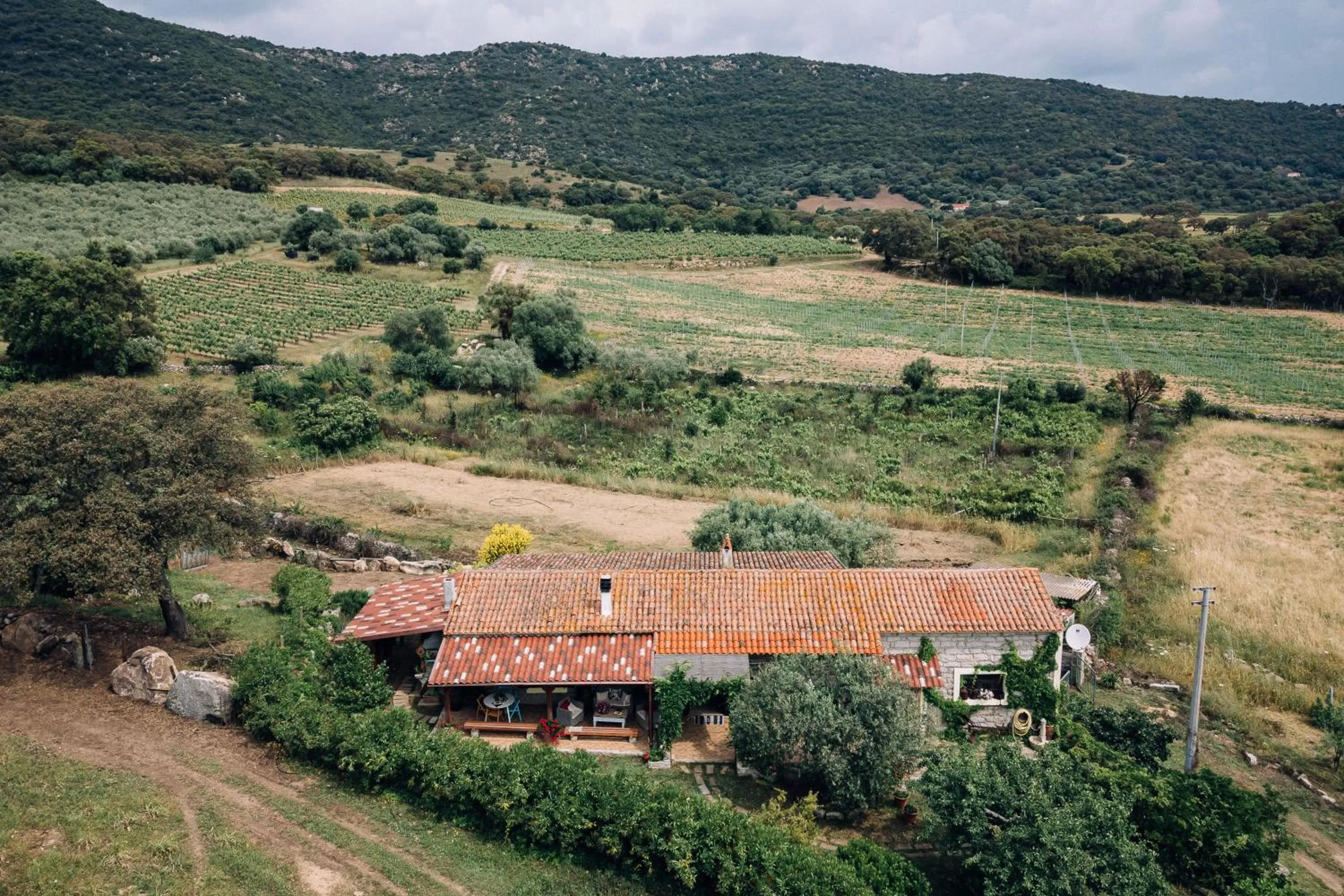 Balcony/Terrace in B&B San Michele