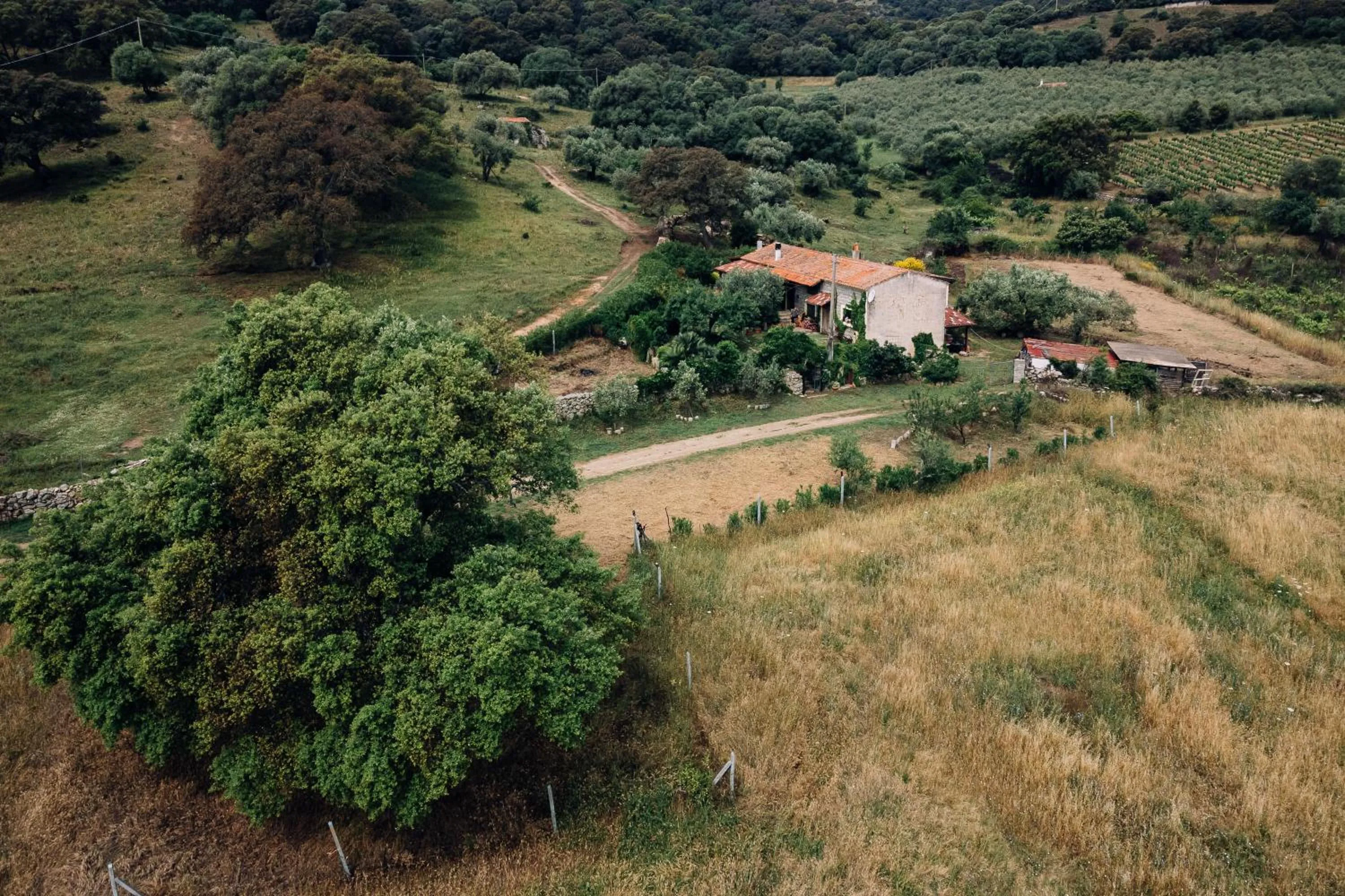 Balcony/Terrace in B&B San Michele