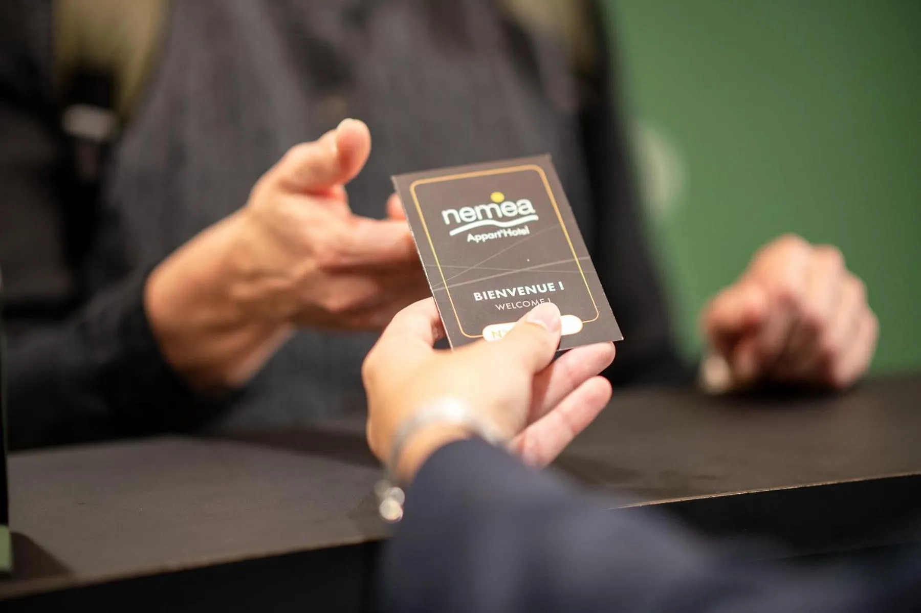 Nemea Appart Hotel La Boetie Bordeaux Pessac