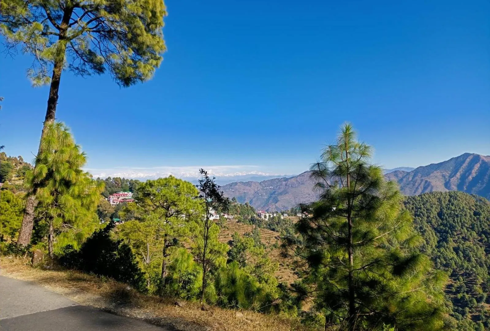 Nearby landmark in Green Palms Rubystone Exotic