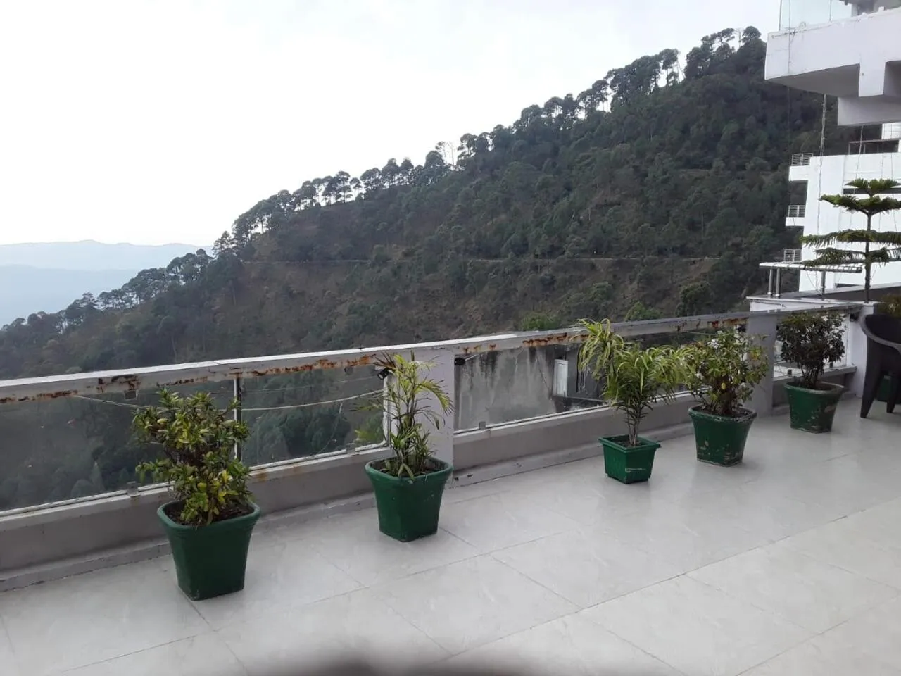 Natural landscape in Green Palms Rubystone Exotic