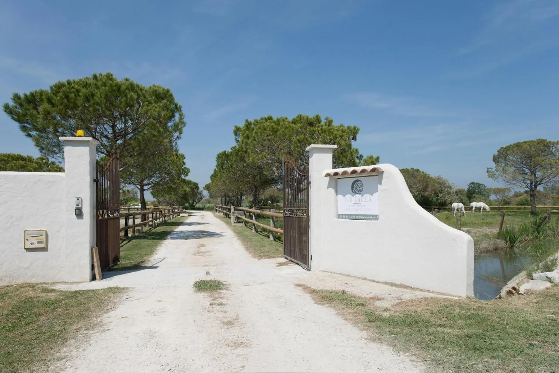 Mas Lou Caloun - Chambre d'Hôte face à la piscine en Camargue - Les Saintes Maries de la Mer