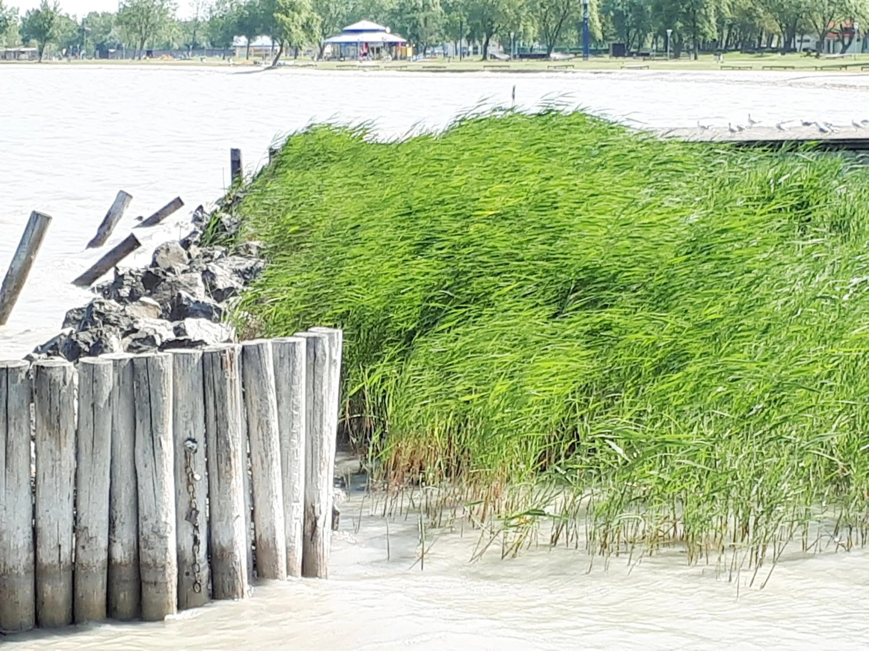 Beach in Hotel & Restaurant Seehof