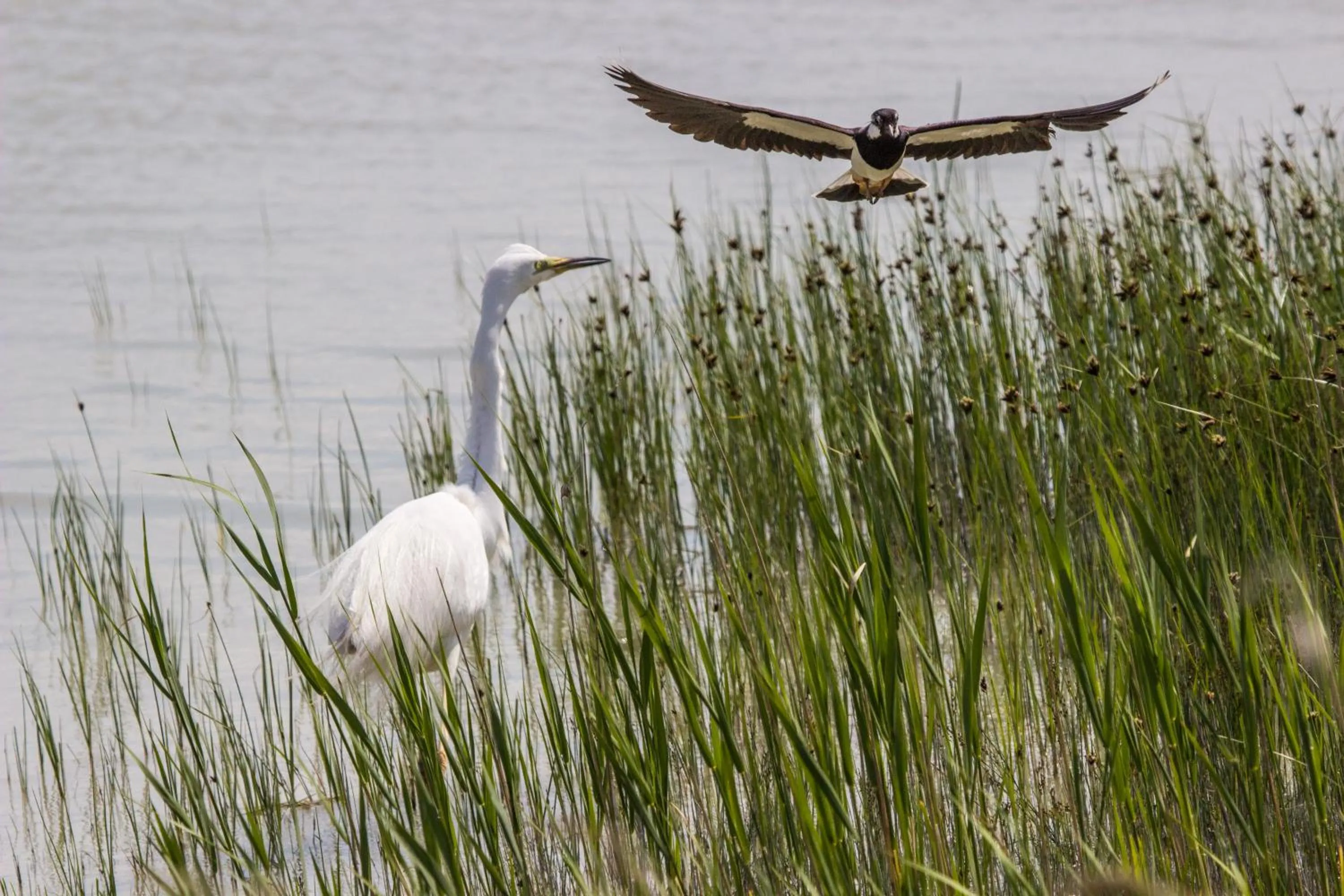 Natural landscape in Hotel & Restaurant Seehof