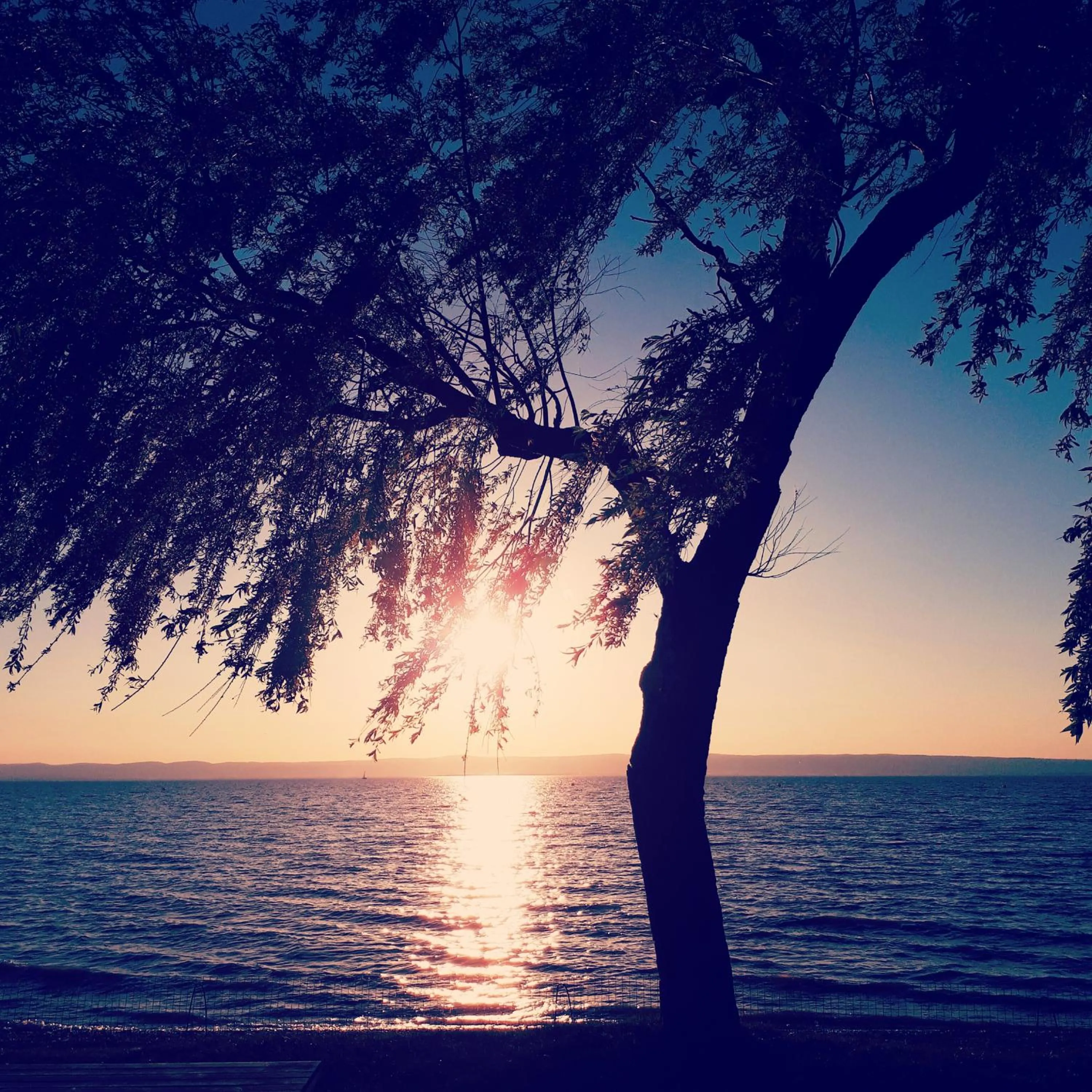 Beach in Hotel & Restaurant Seehof