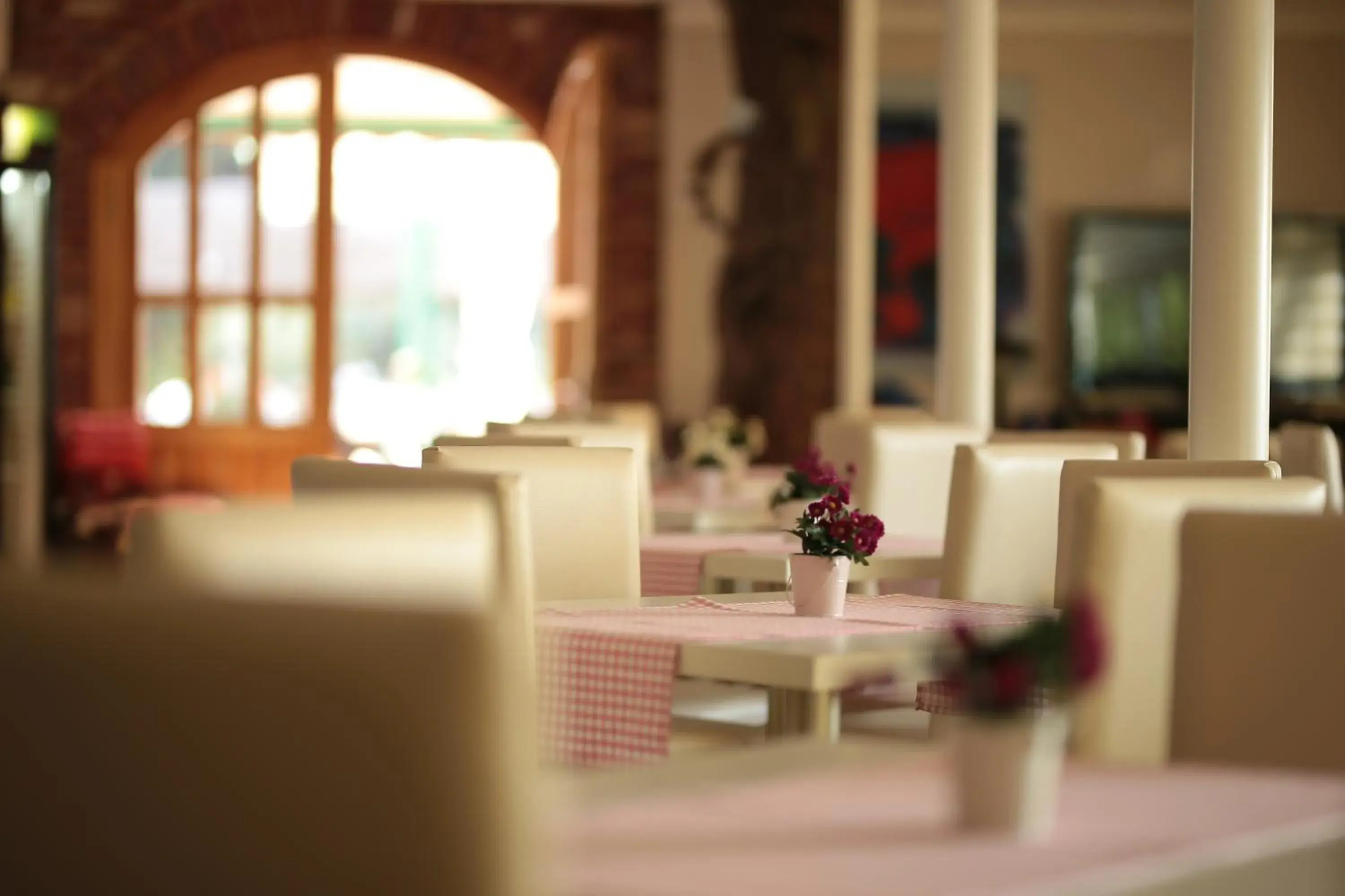 Restaurant/places to eat in Tunc Hotel Restaurant/places to eat in Tunc Hotel