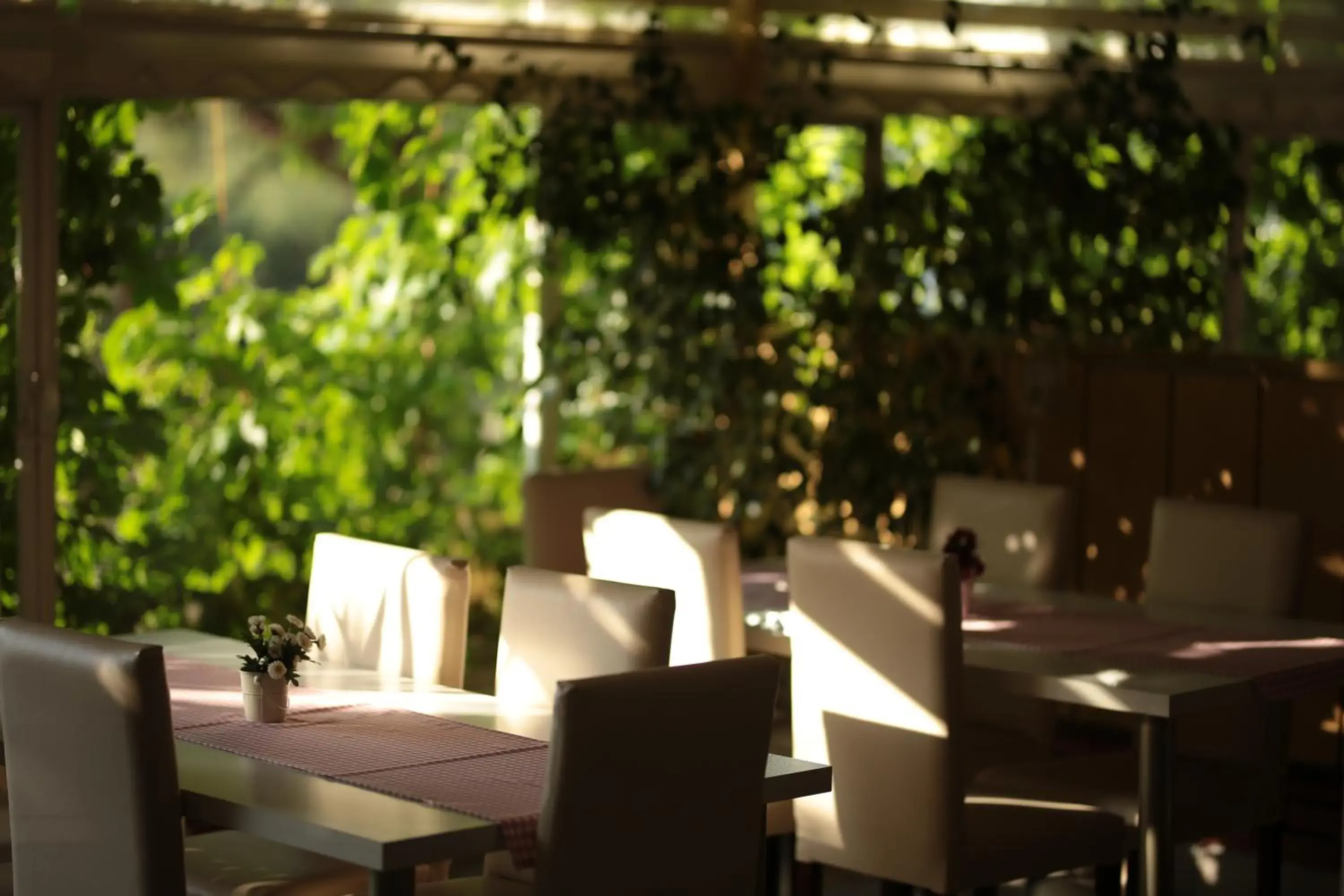 Restaurant/places to eat in Tunc Hotel Restaurant/places to eat in Tunc Hotel