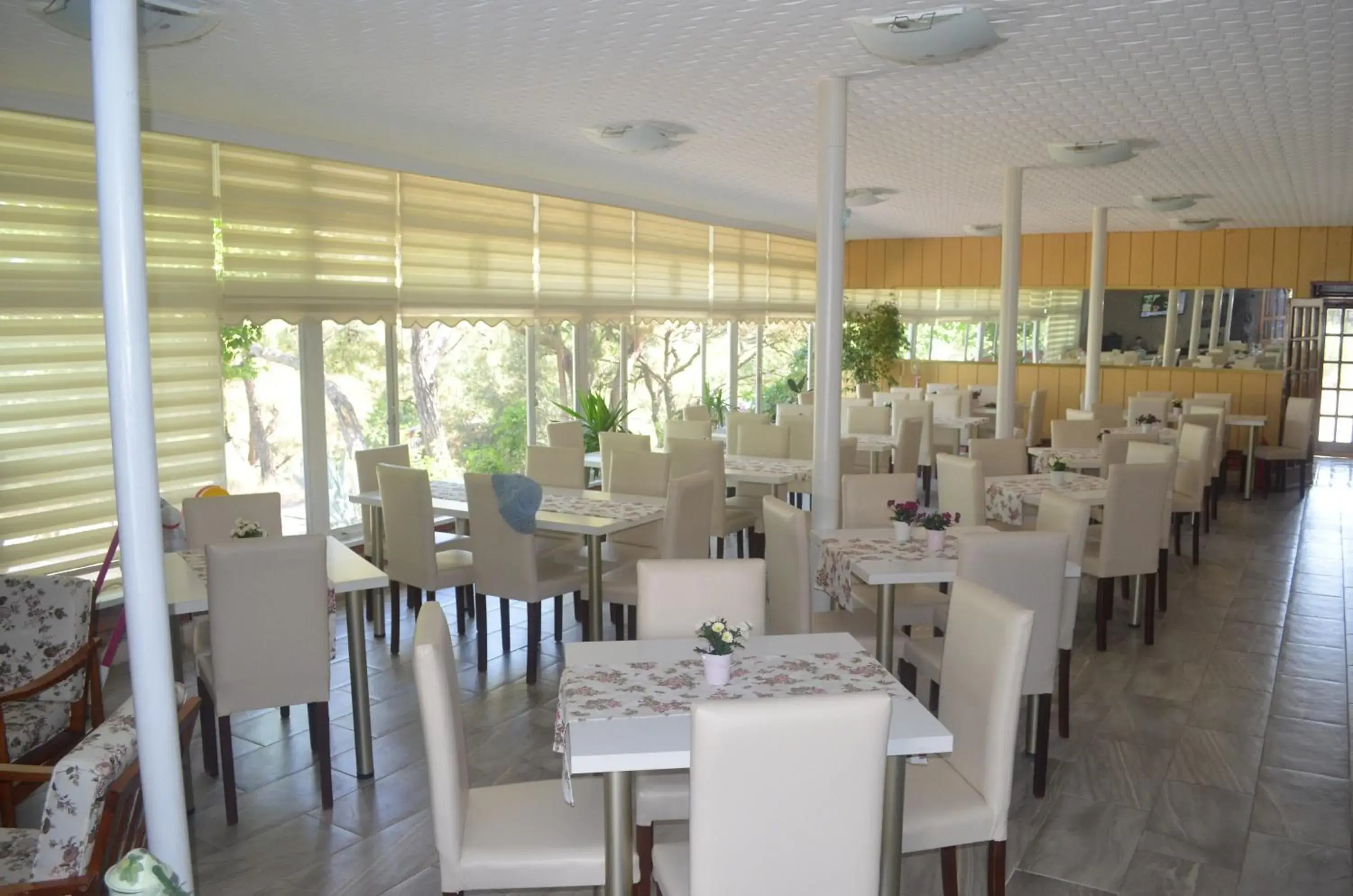 Restaurant/places to eat in Tunc Hotel Restaurant/places to eat in Tunc Hotel