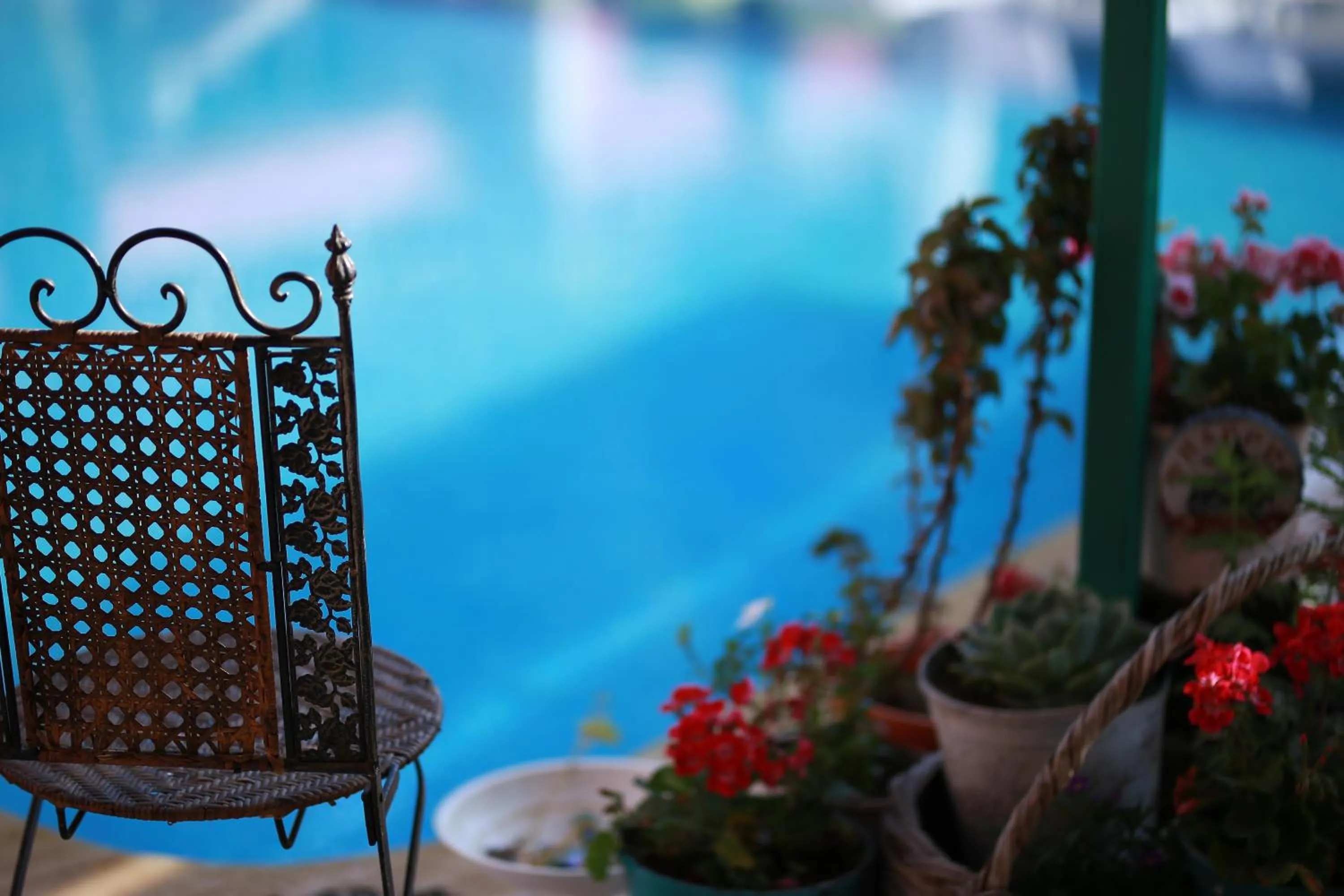 Garden in Tunc Hotel