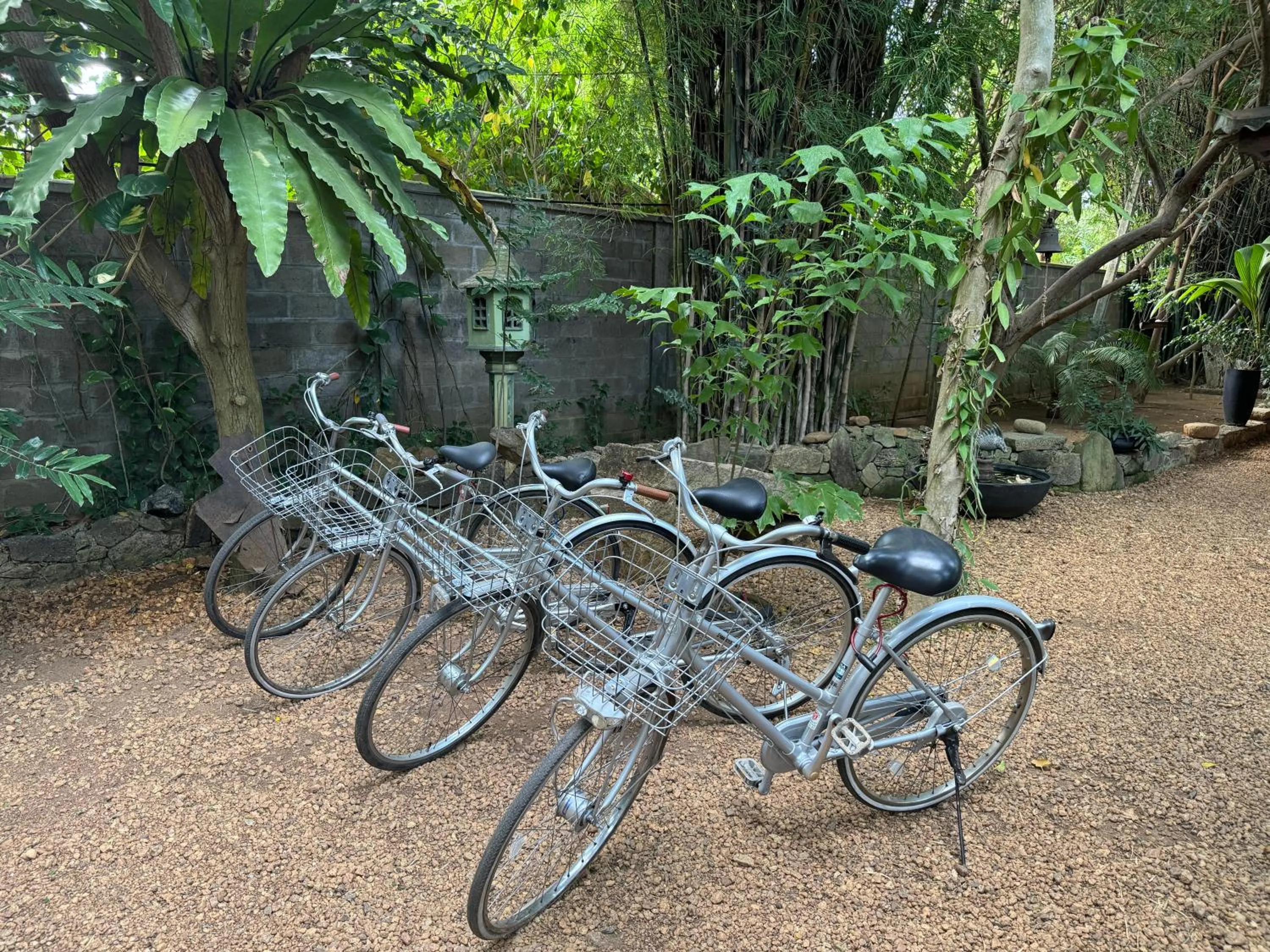 Day in The Green Edge