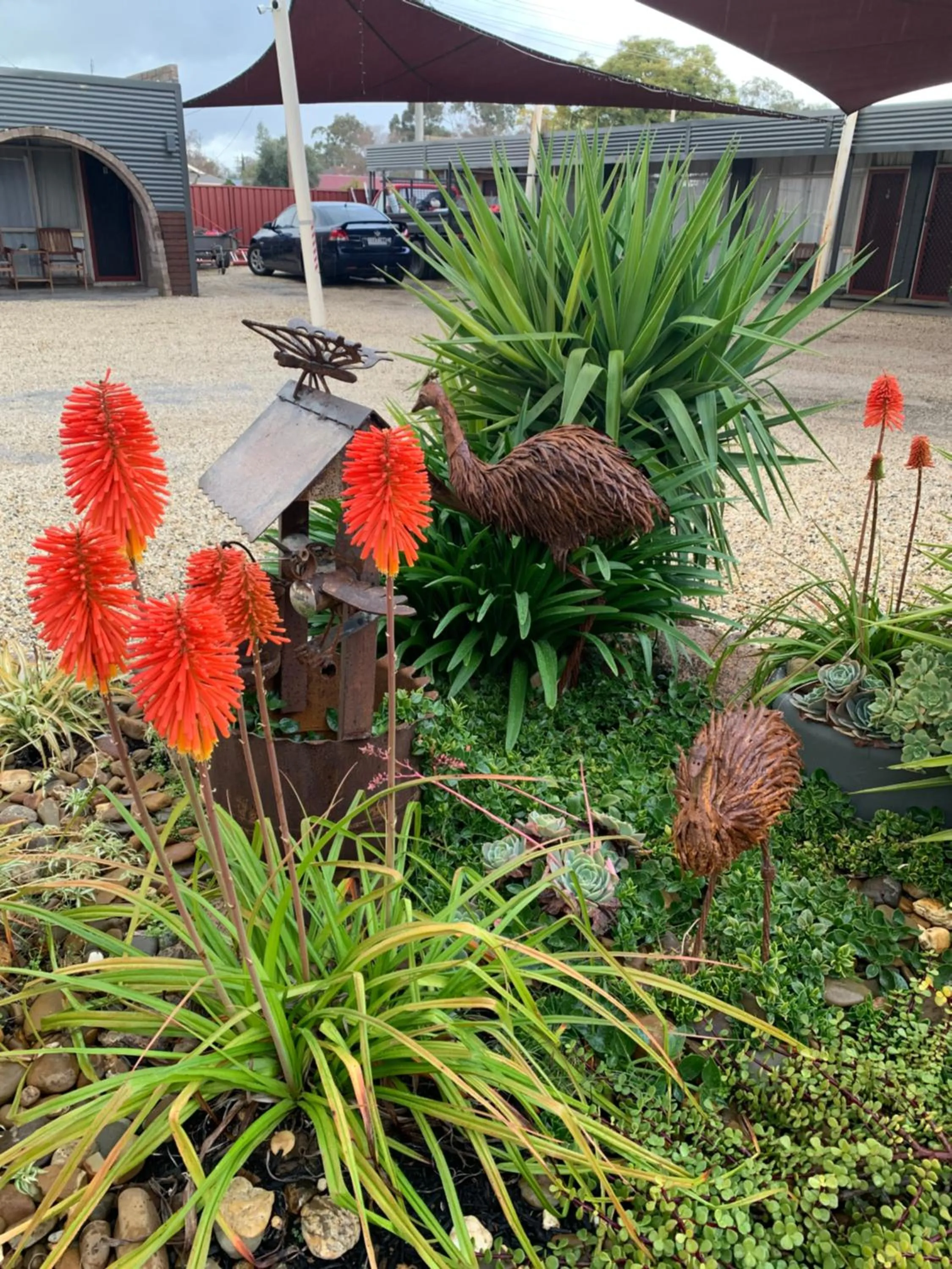 Garden in Thomas Lodge Motel