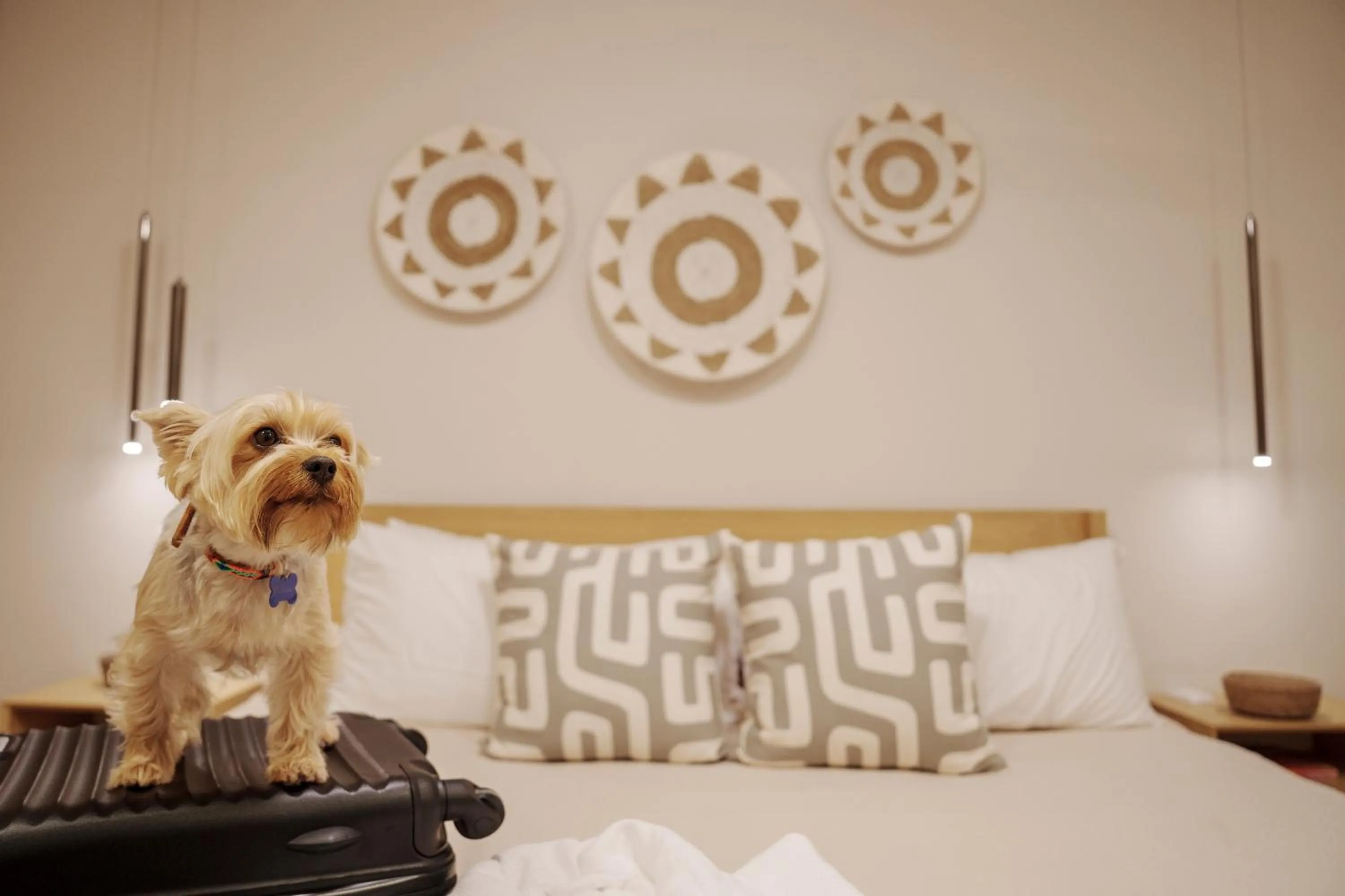 Bedroom in abba Suites Playa del Carmen