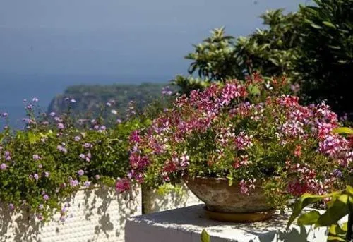 View (from property/room) in Da Gelsomina