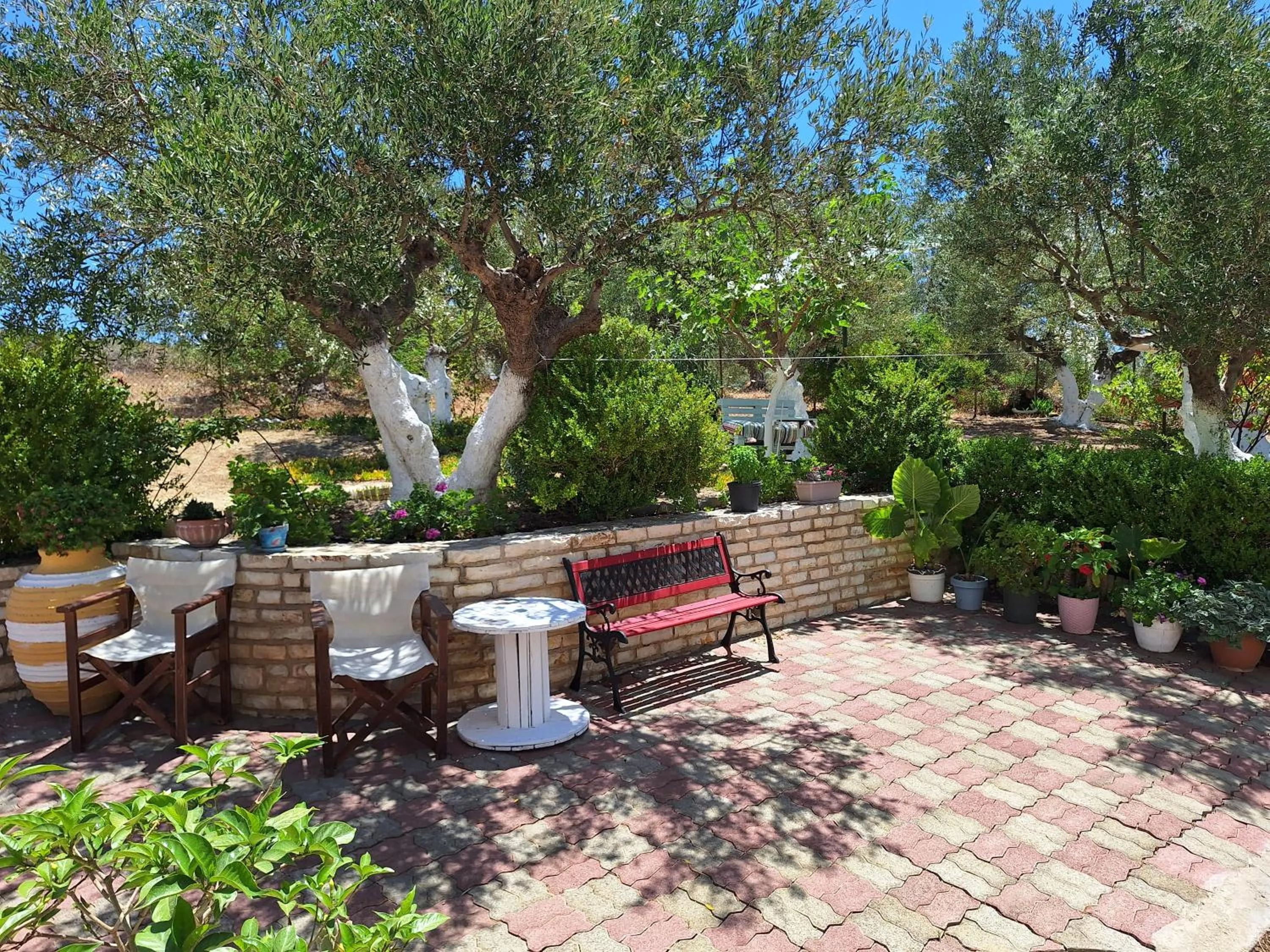 Garden in Villa Tapia