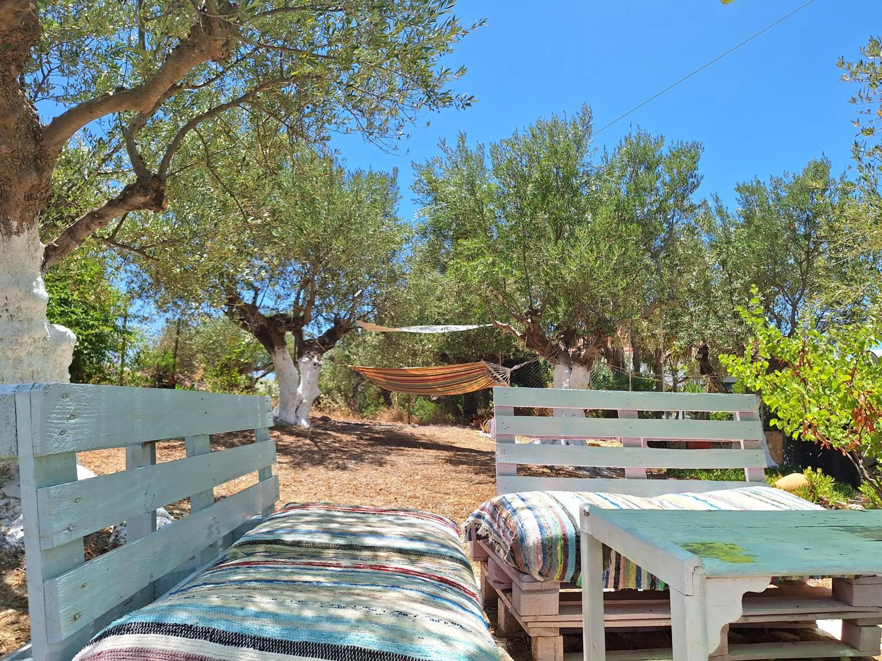 Garden in Villa Tapia