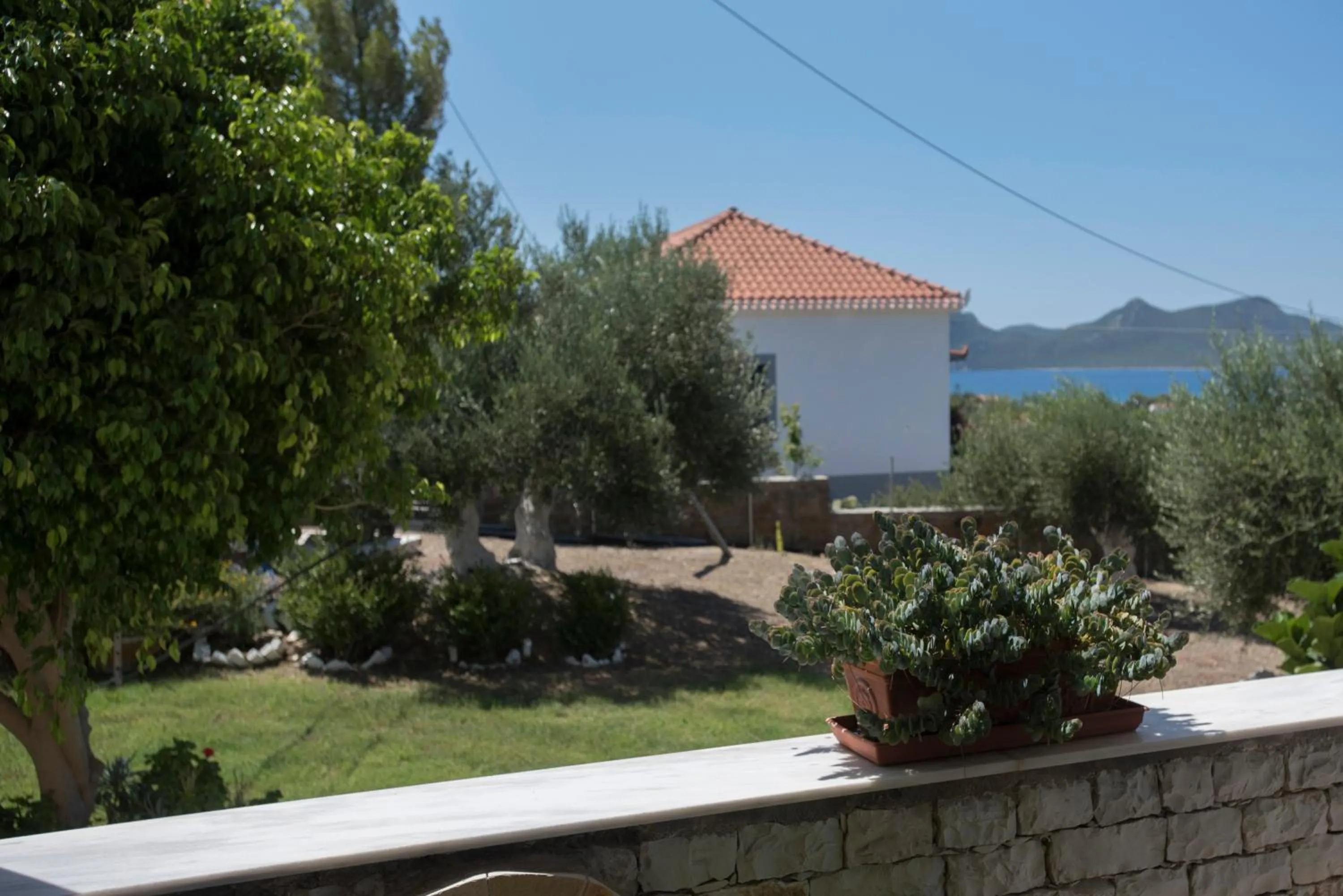 Garden view in Villa Tapia