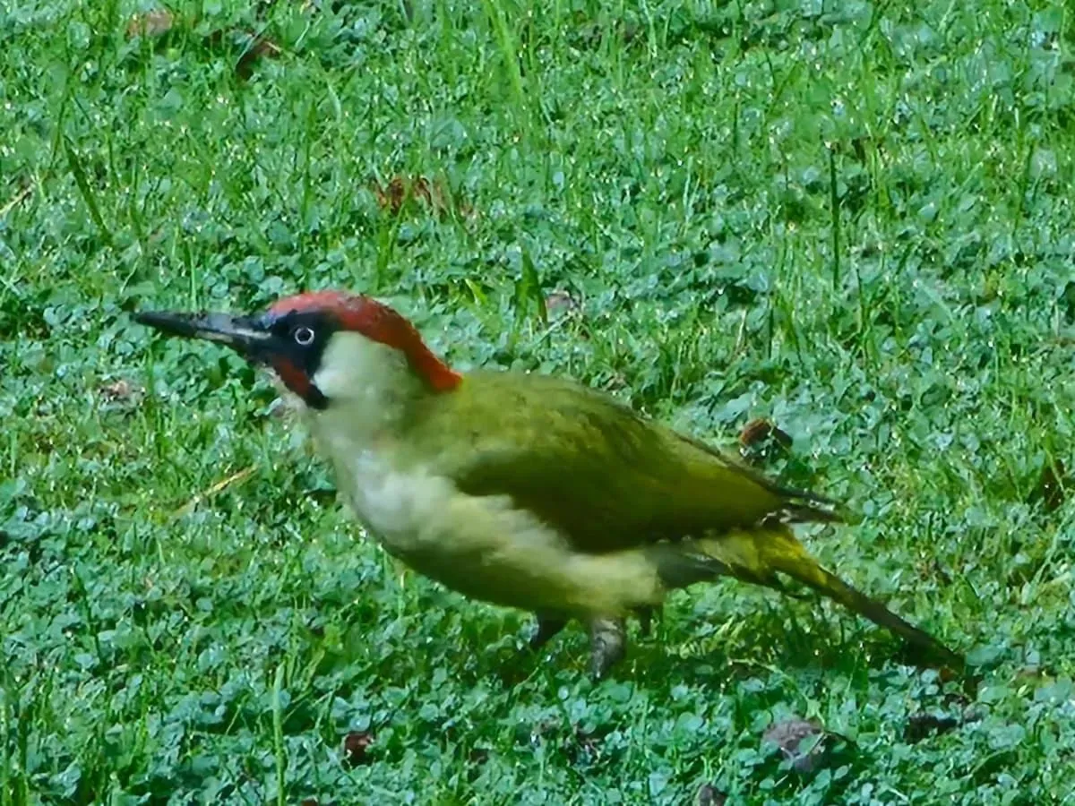 Natural landscape in MaisonMazerand