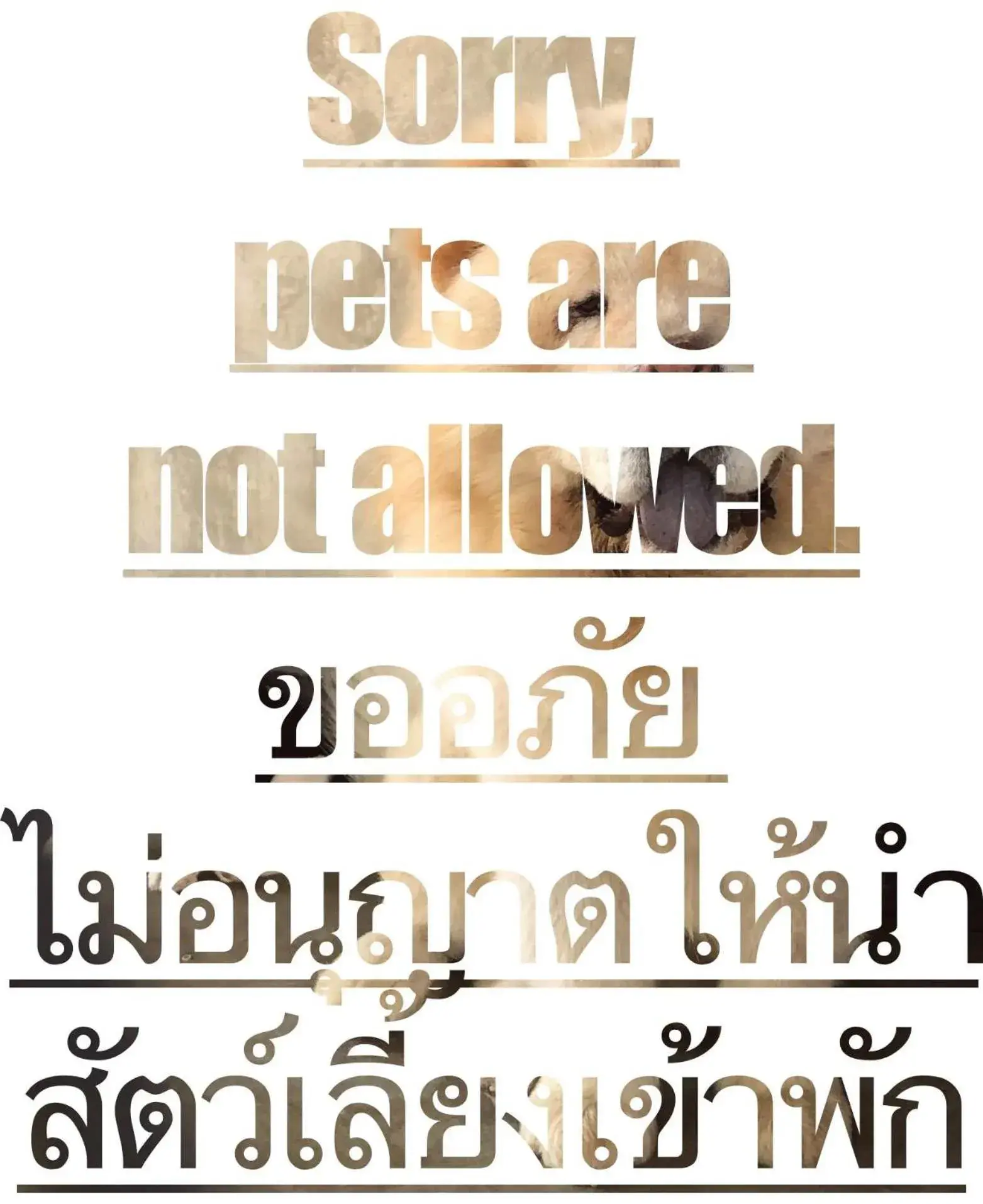 King Room with Garden View in Resort Railumpoo (Farm and Camping) King Room with Garden View in Resort Railumpoo (Farm and Camping)